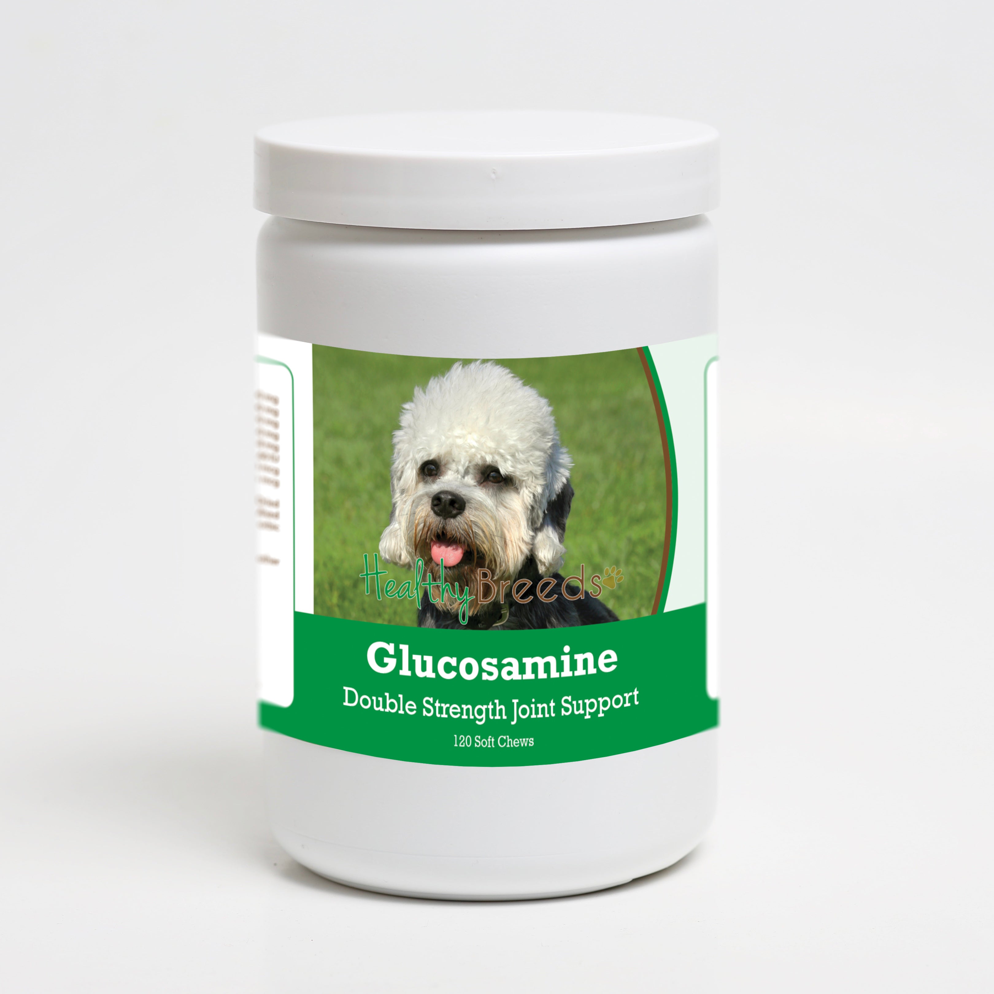 Dandie Dinmont Terrier Glucosamine DS Plus MSM 120 Count