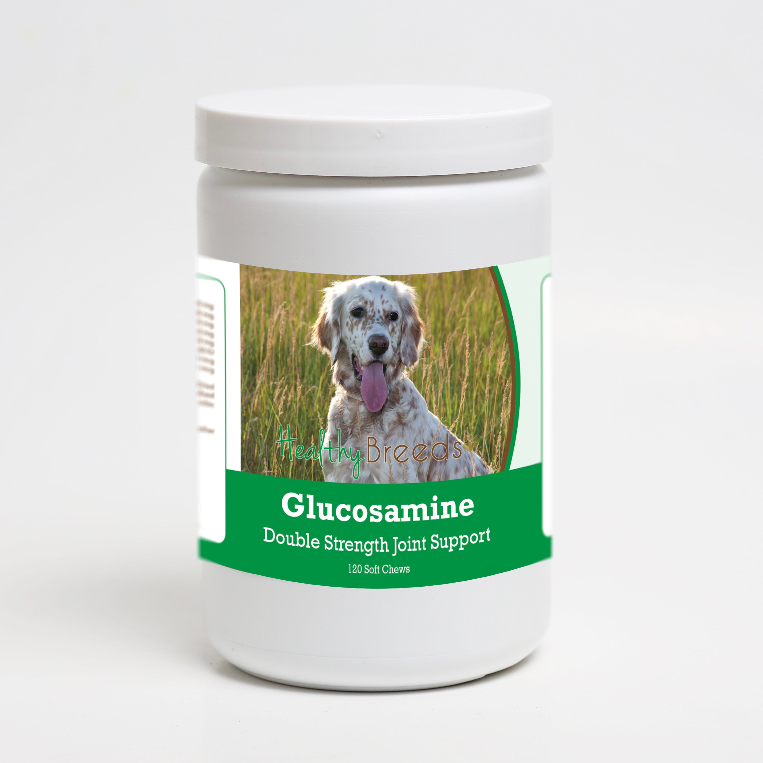 English Setter Glucosamine DS Plus MSM 120 Count