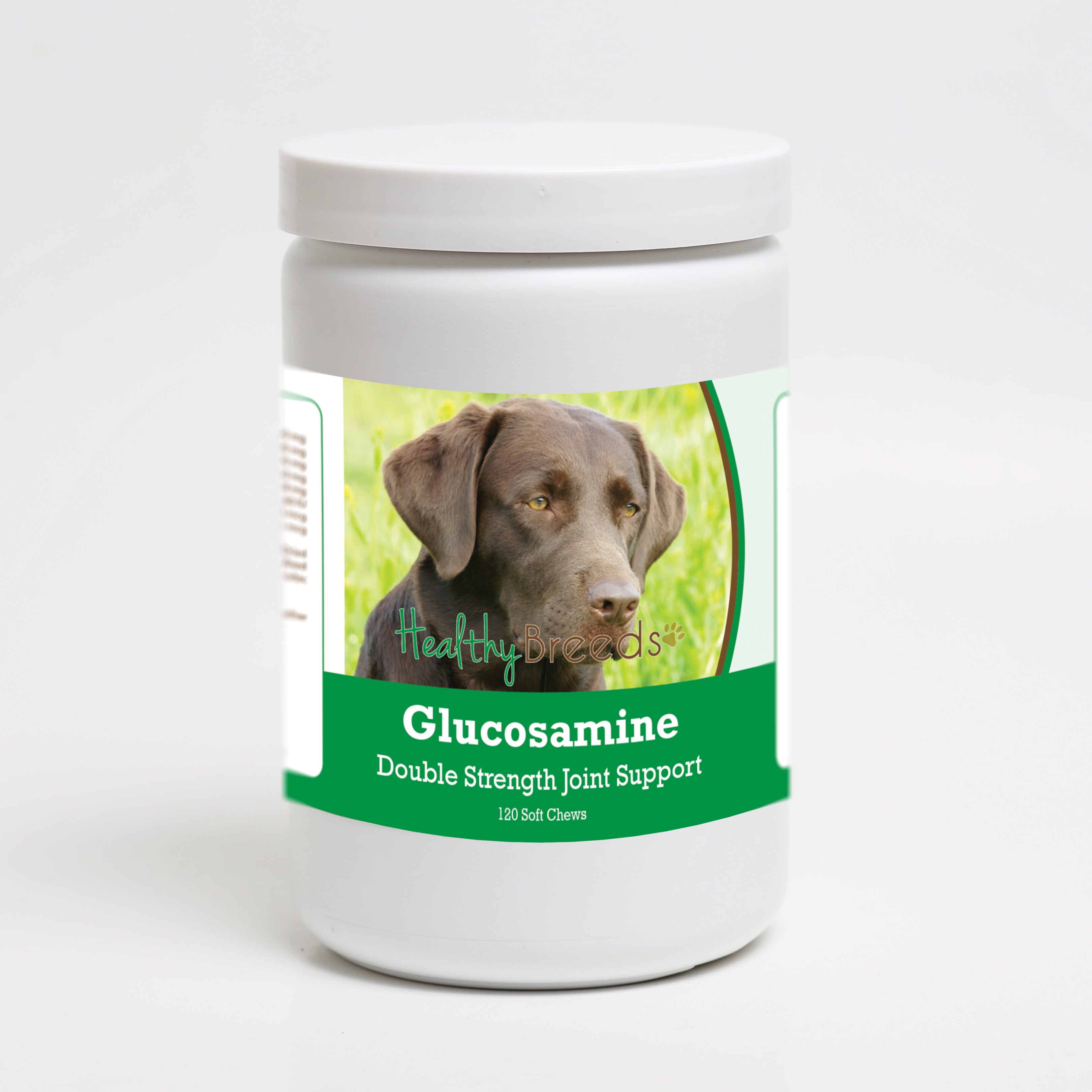 Labrador Retriever Glucosamine DS Plus MSM 120 Count