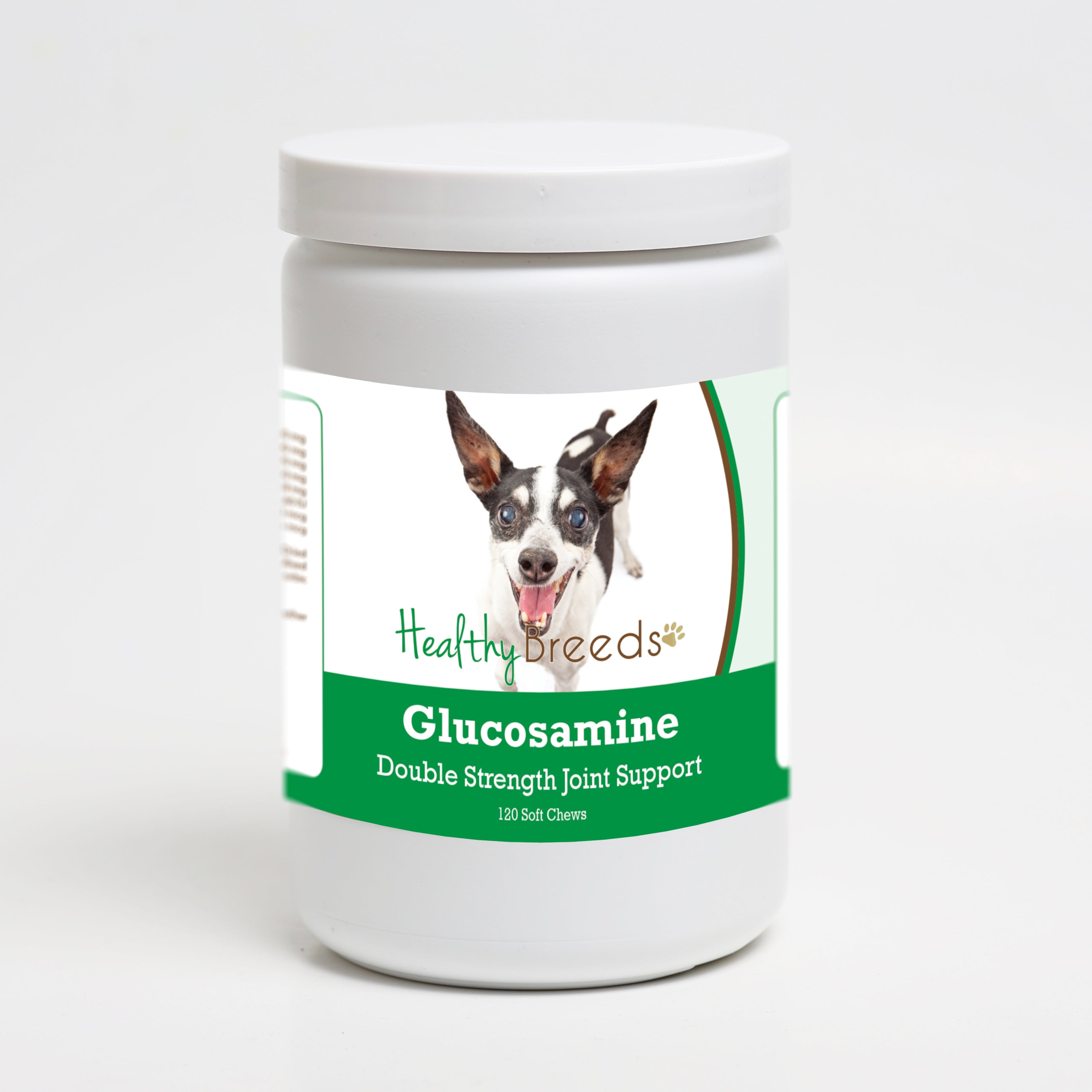 Rat Terrier Glucosamine DS Plus MSM 120 Count