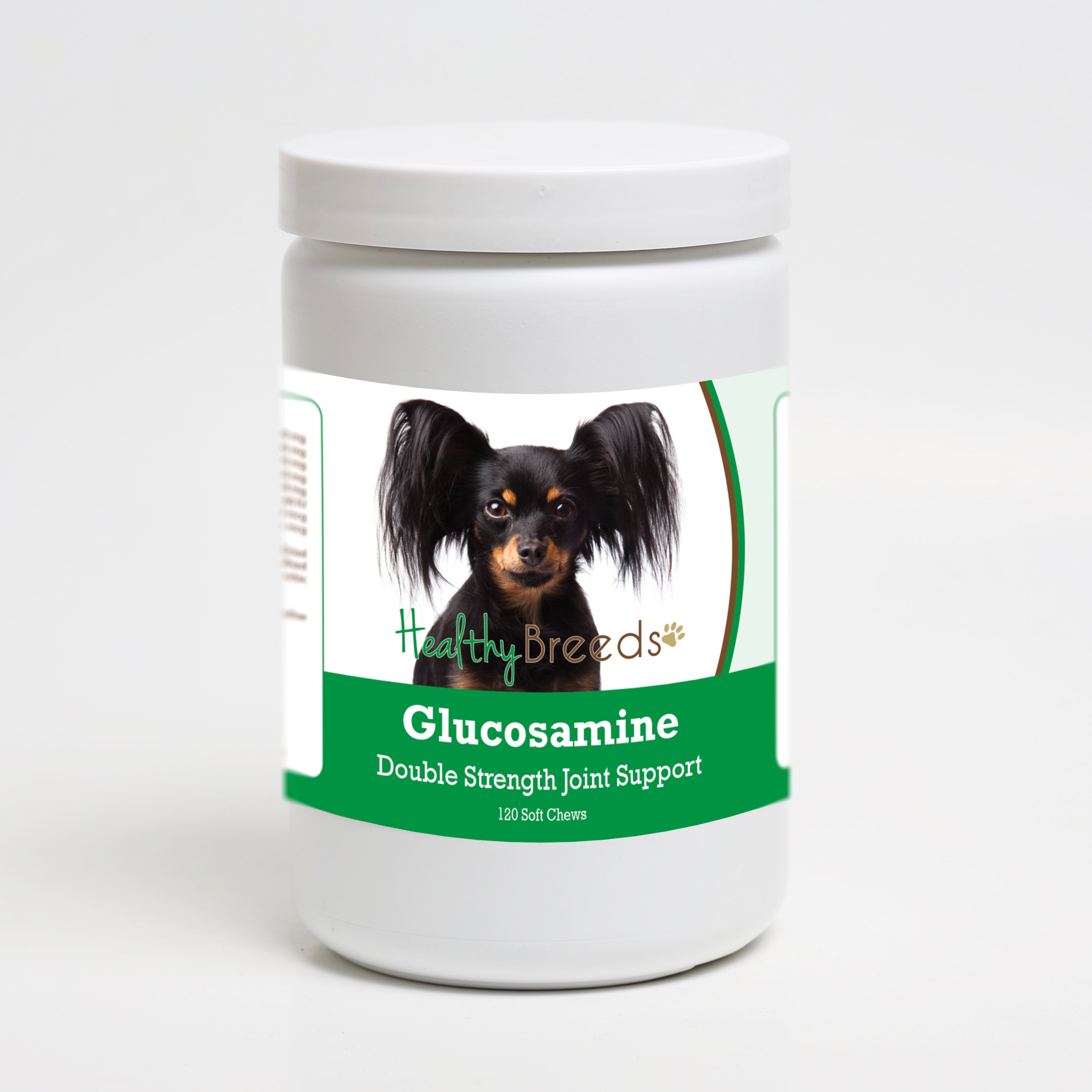 Russian Toy Terrier Glucosamine DS Plus MSM 120 Count