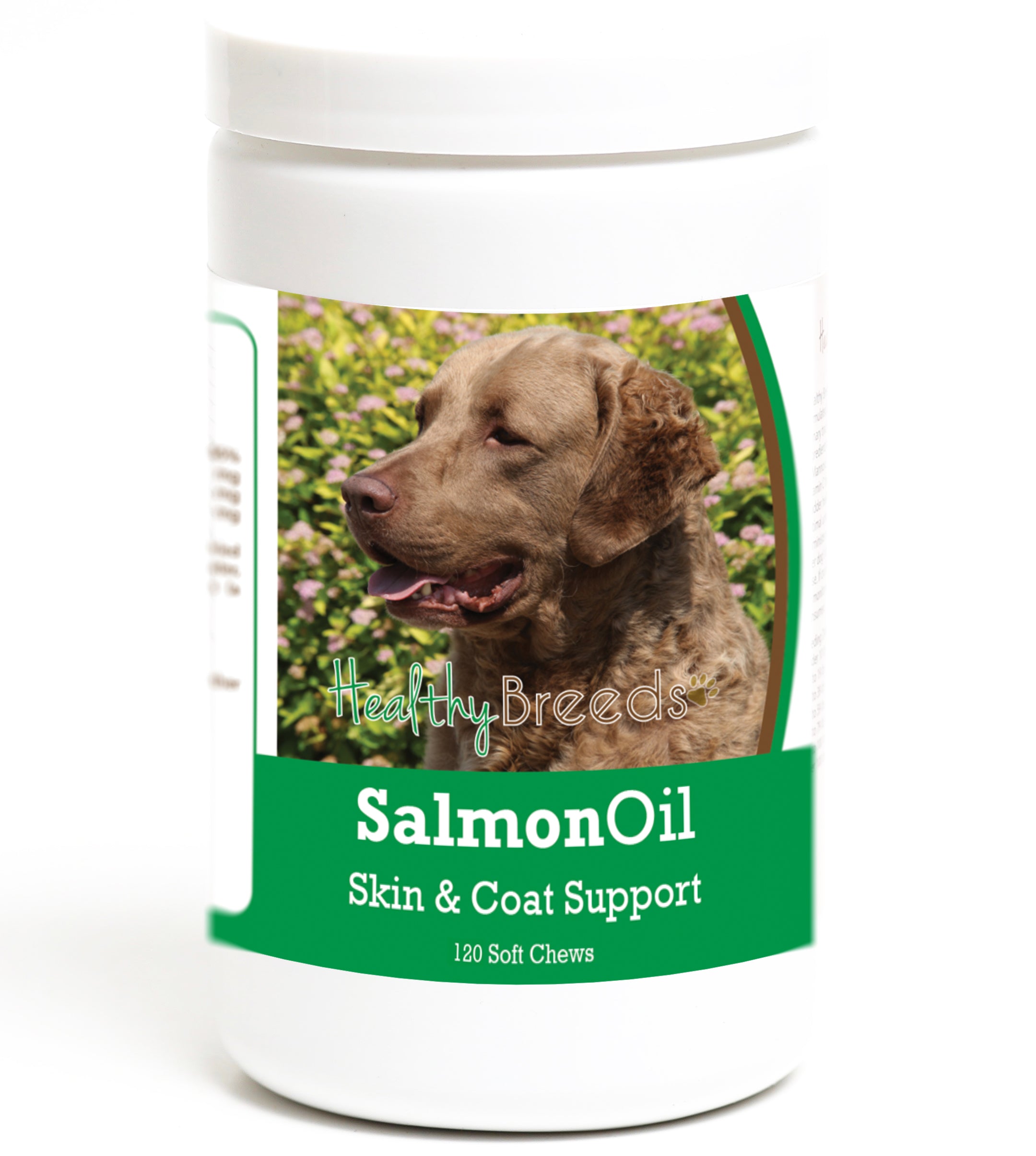 Chesapeake Bay Retriever Salmon Oil Soft Chews 120 Count