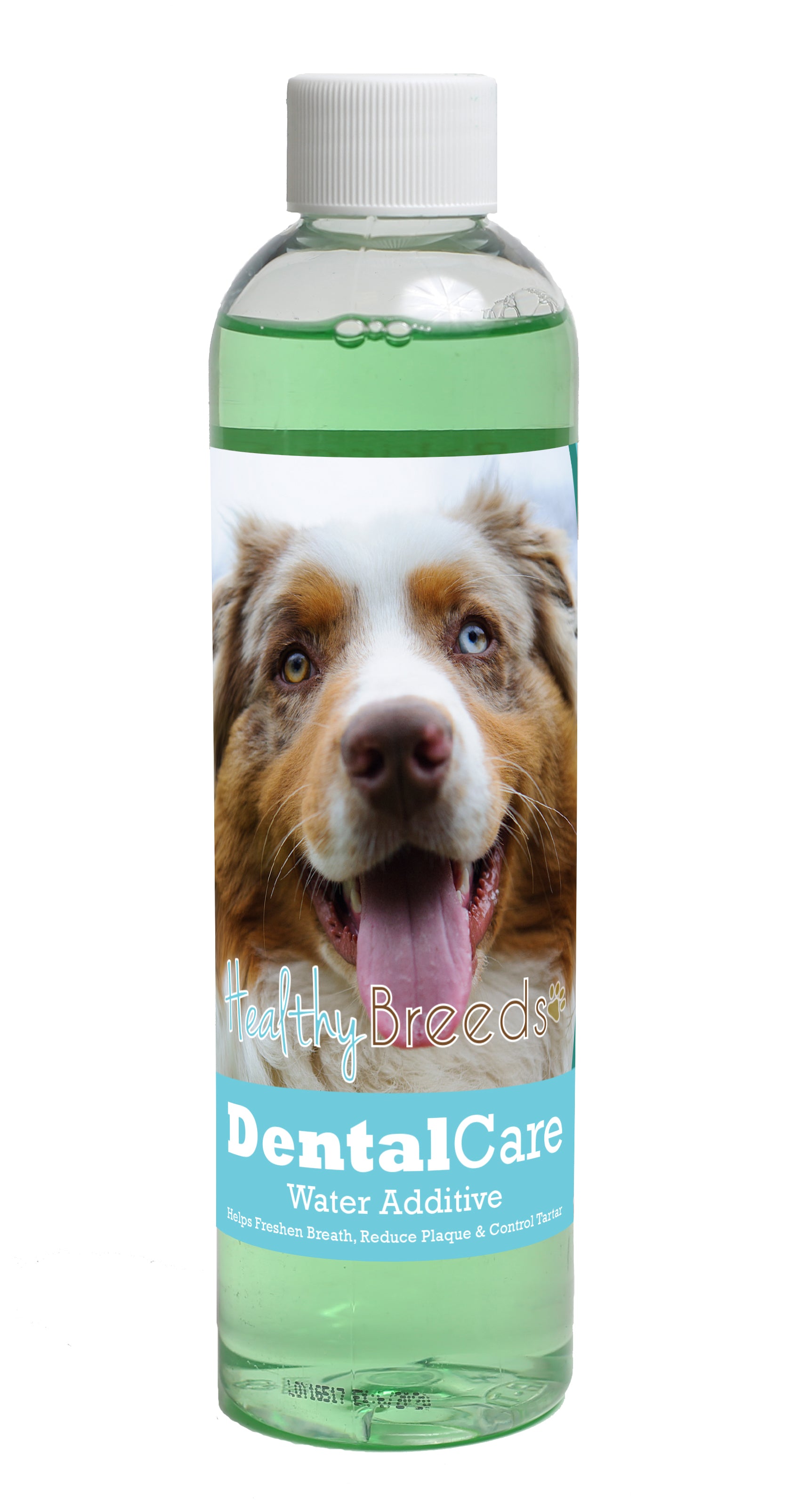 Australian Shepherd Dental Rinse for Dogs 8 oz