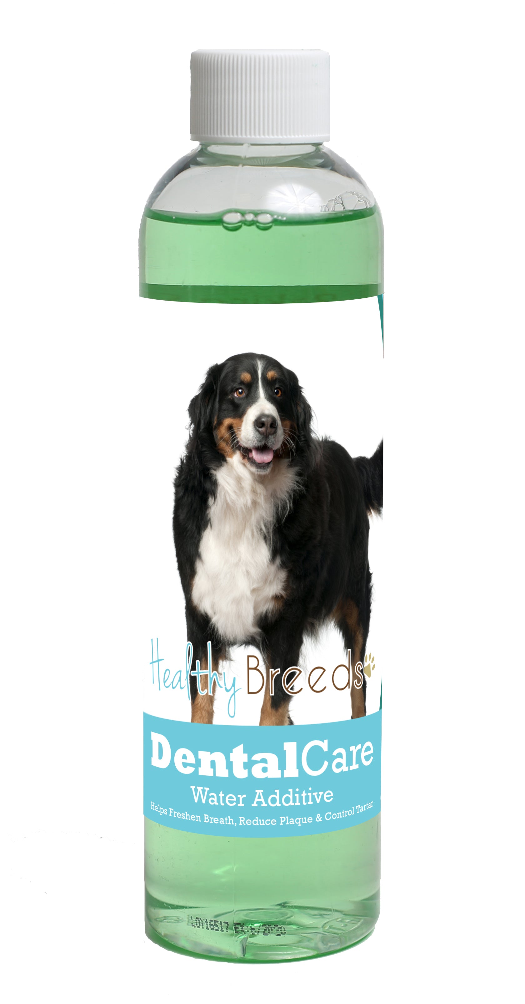 Bernese Mountain Dog Dental Rinse for Dogs 8 oz