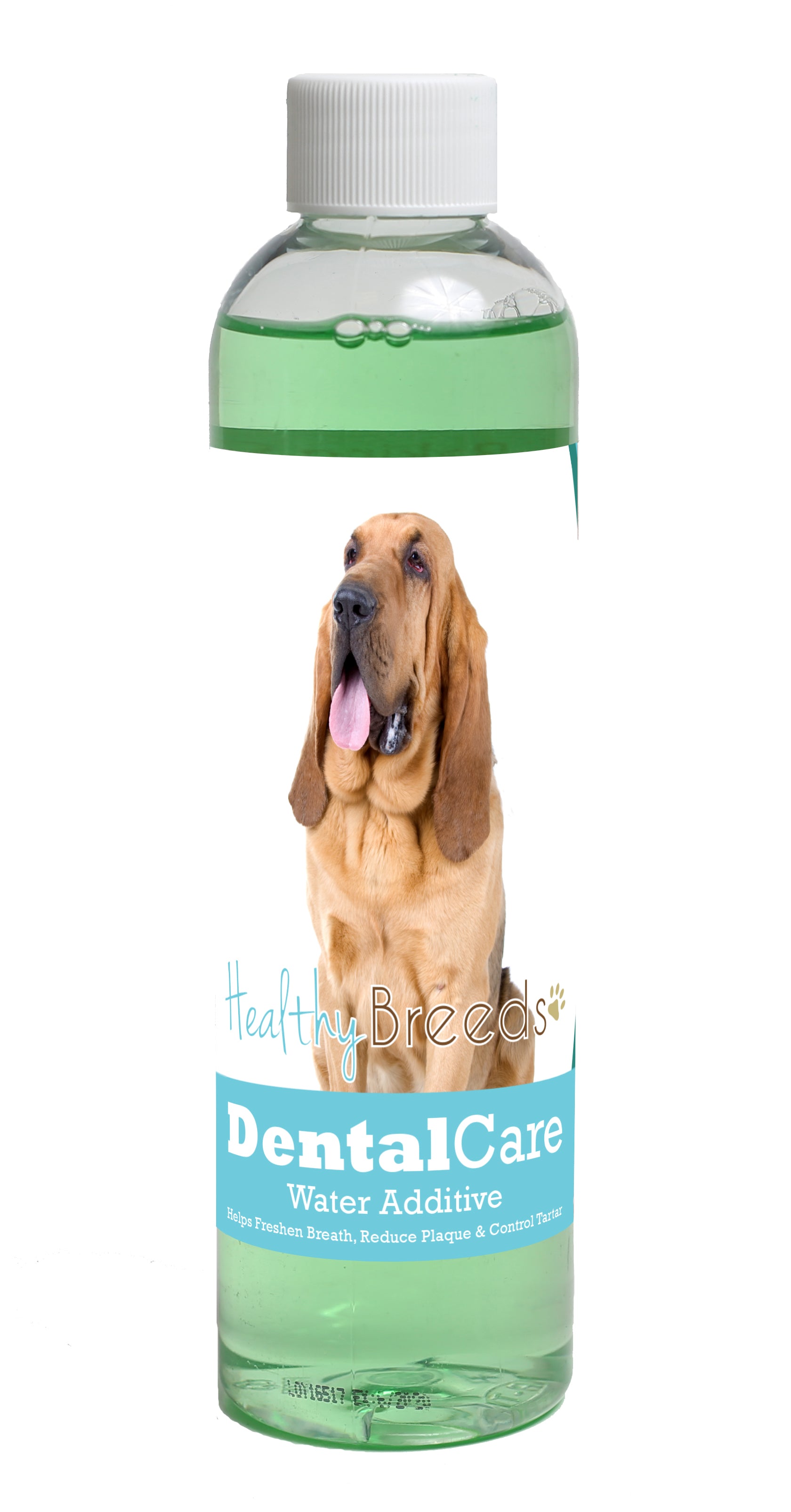 Bloodhound Dental Rinse for Dogs 8 oz