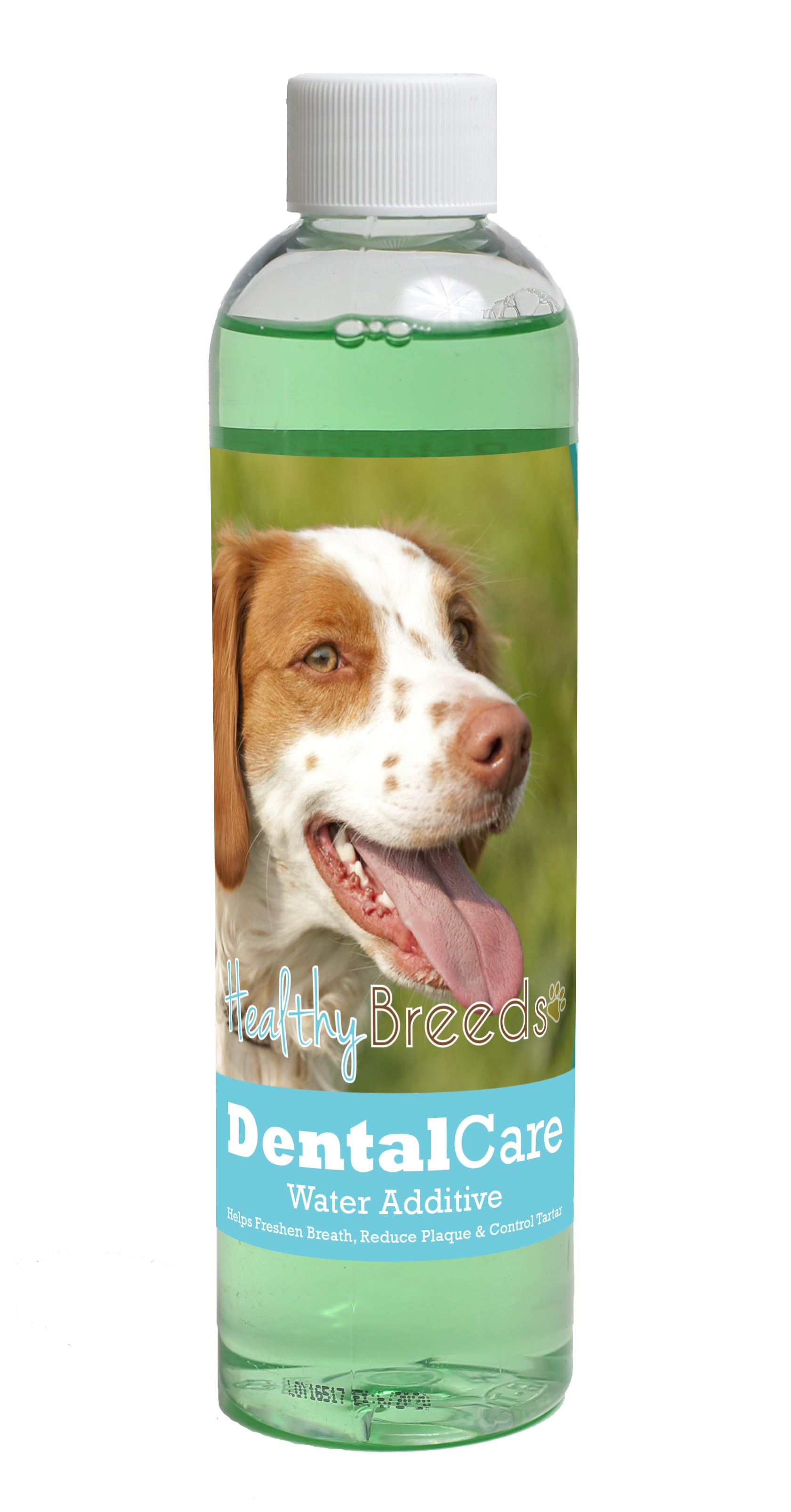 Brittany Dental Rinse for Dogs 8 oz