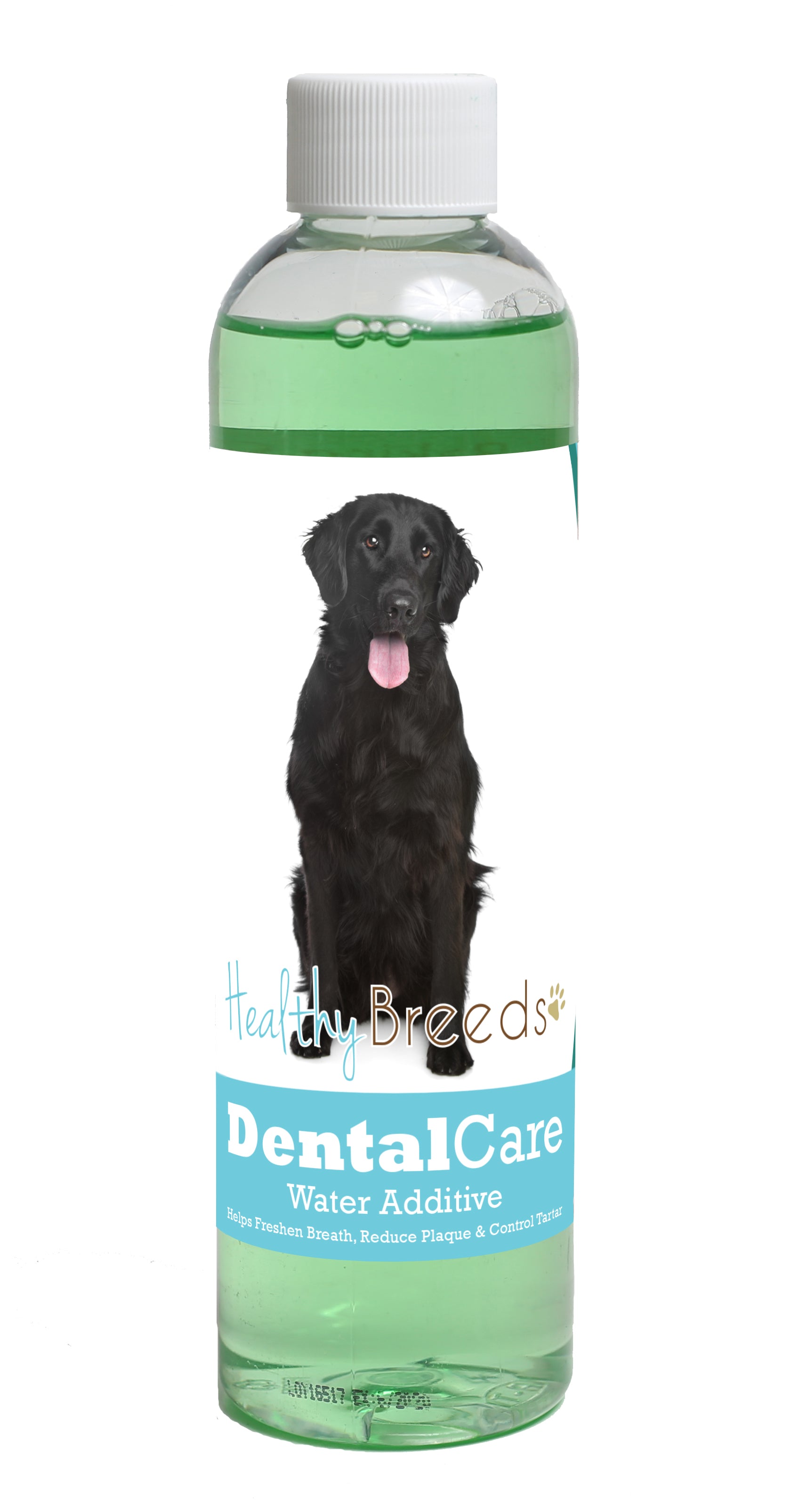 Flat Coated Retriever Dental Rinse for Dogs 8 oz