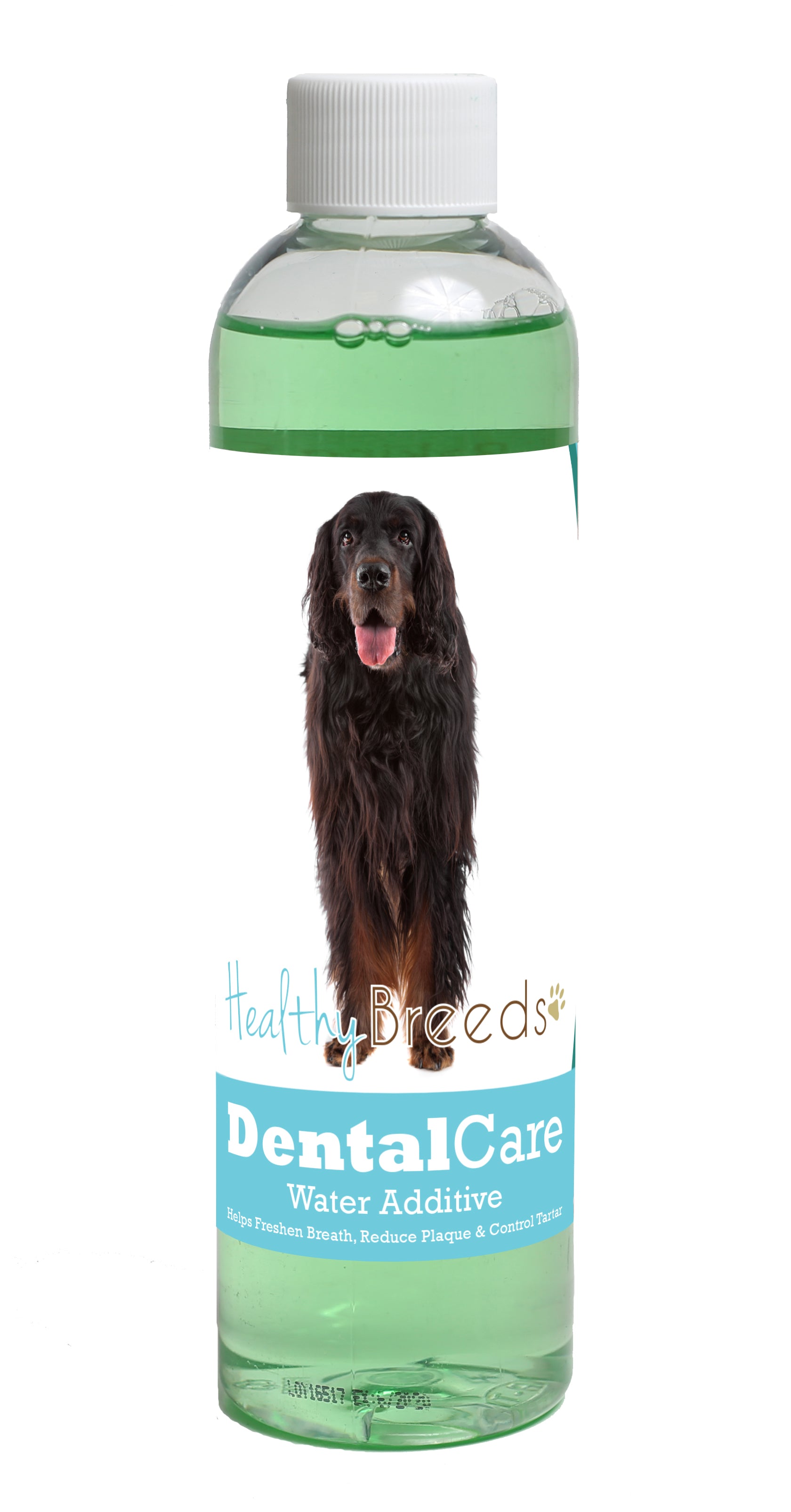 Gordon Setter Dental Rinse for Dogs 8 oz
