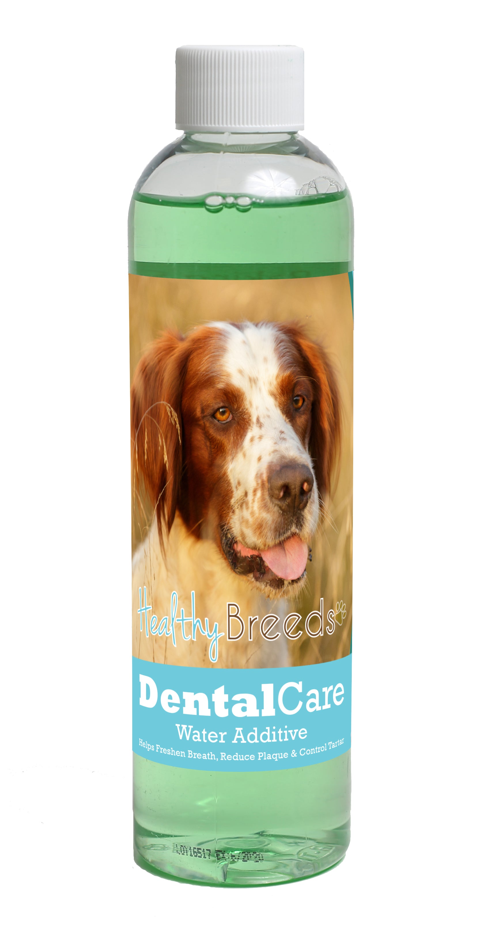 Irish Red and White Setter Dental Rinse for Dogs 8 oz