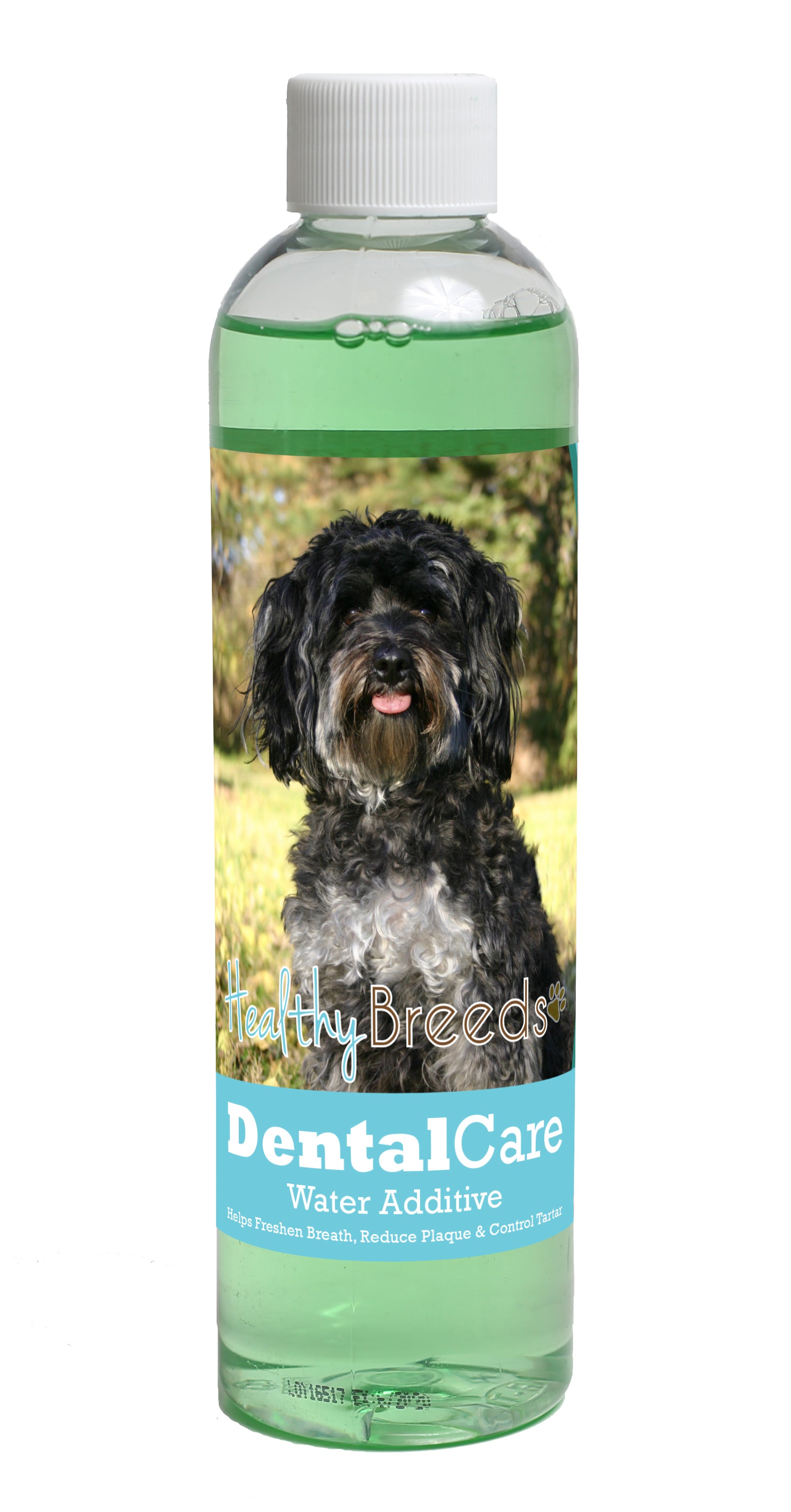 Maltipoo Dental Rinse for Dogs 8 oz