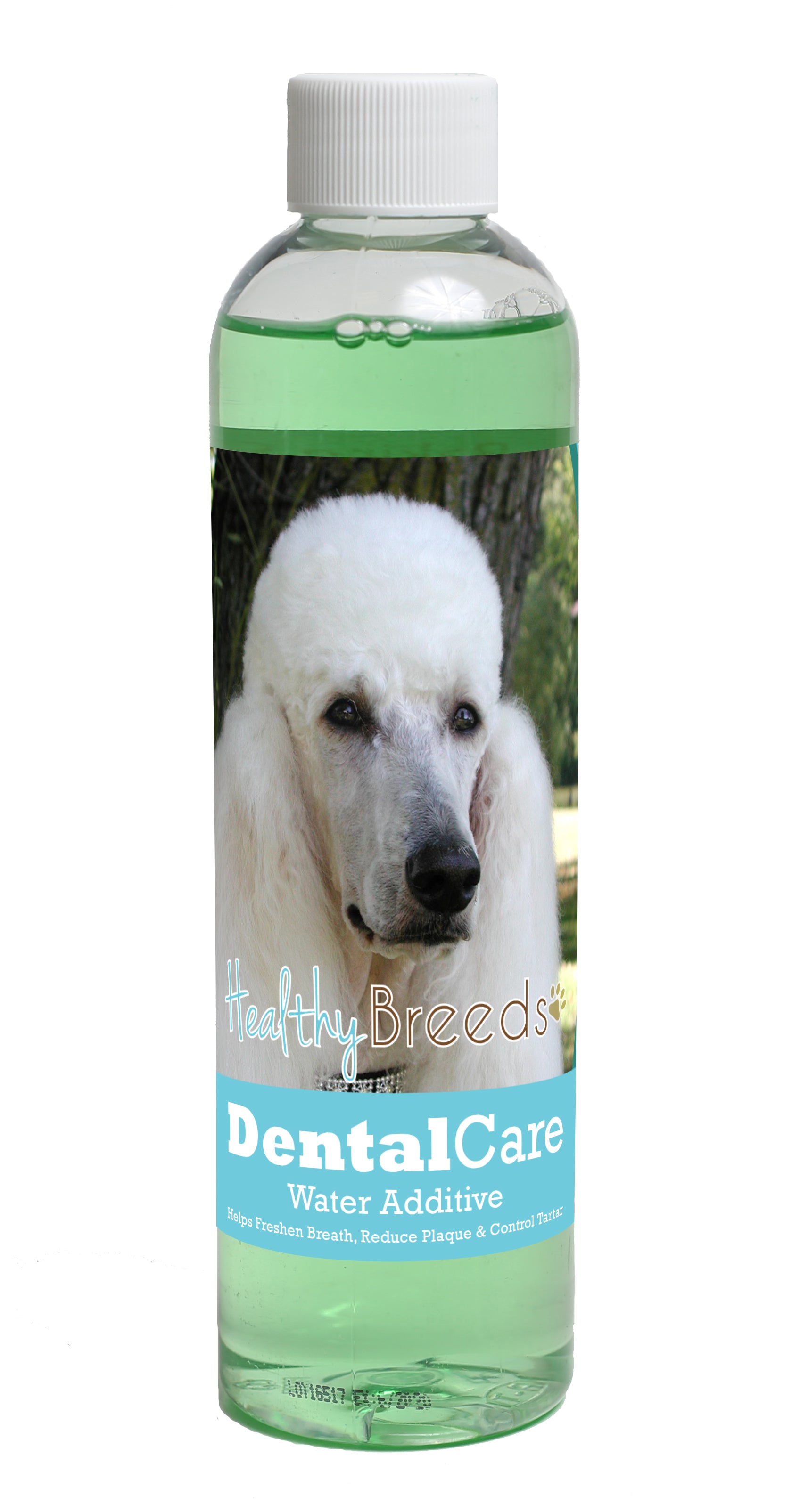 Poodle Dental Rinse for Dogs 8 oz