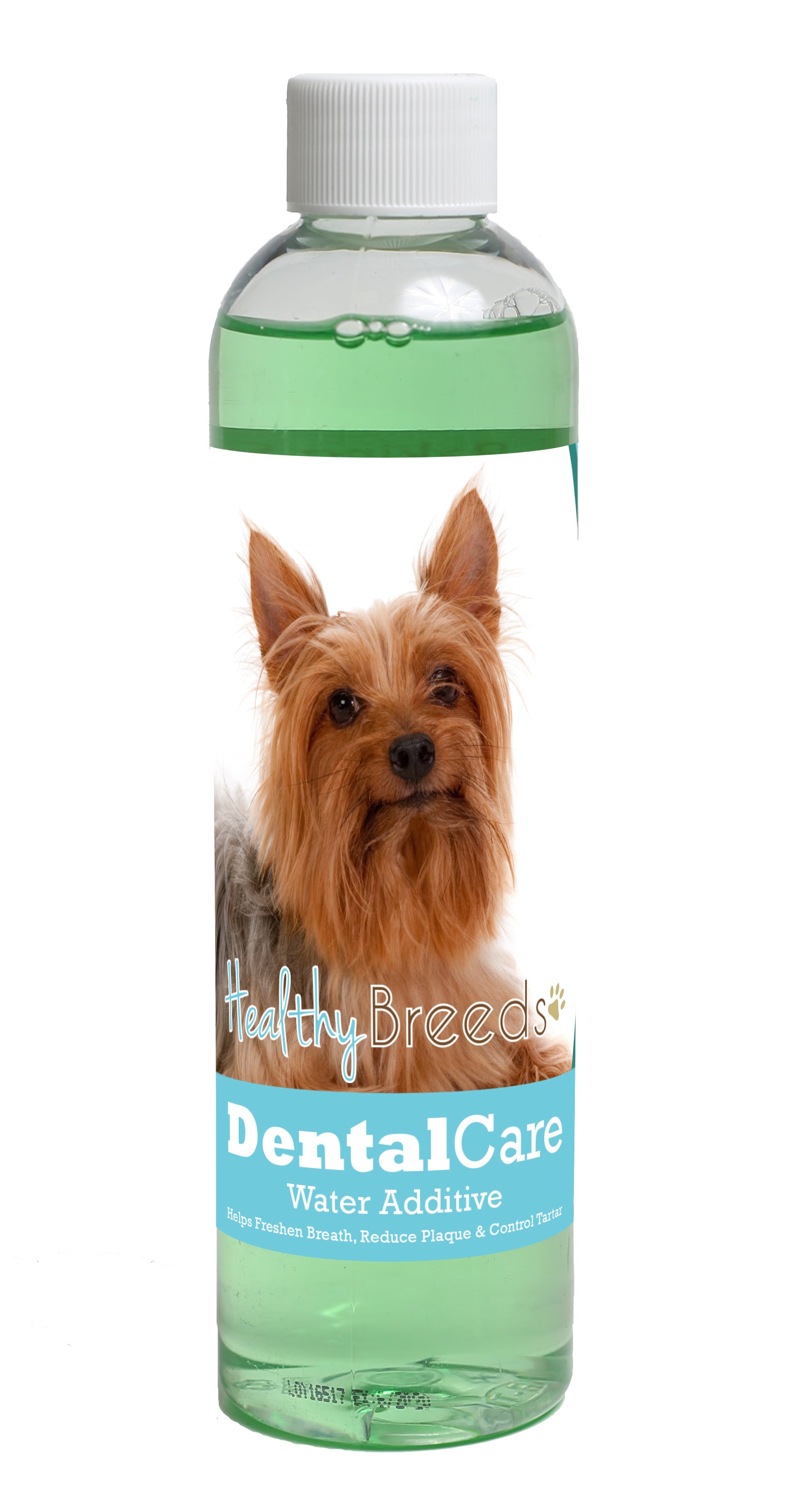 Silky Terrier Dental Rinse for Dogs 8 oz