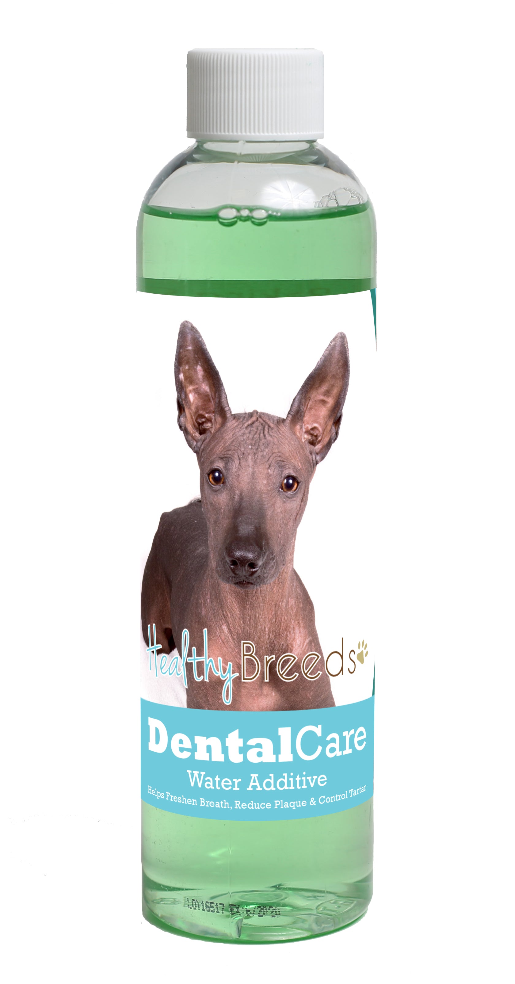 Xoloitzcuintli Dental Rinse for Dogs 8 oz
