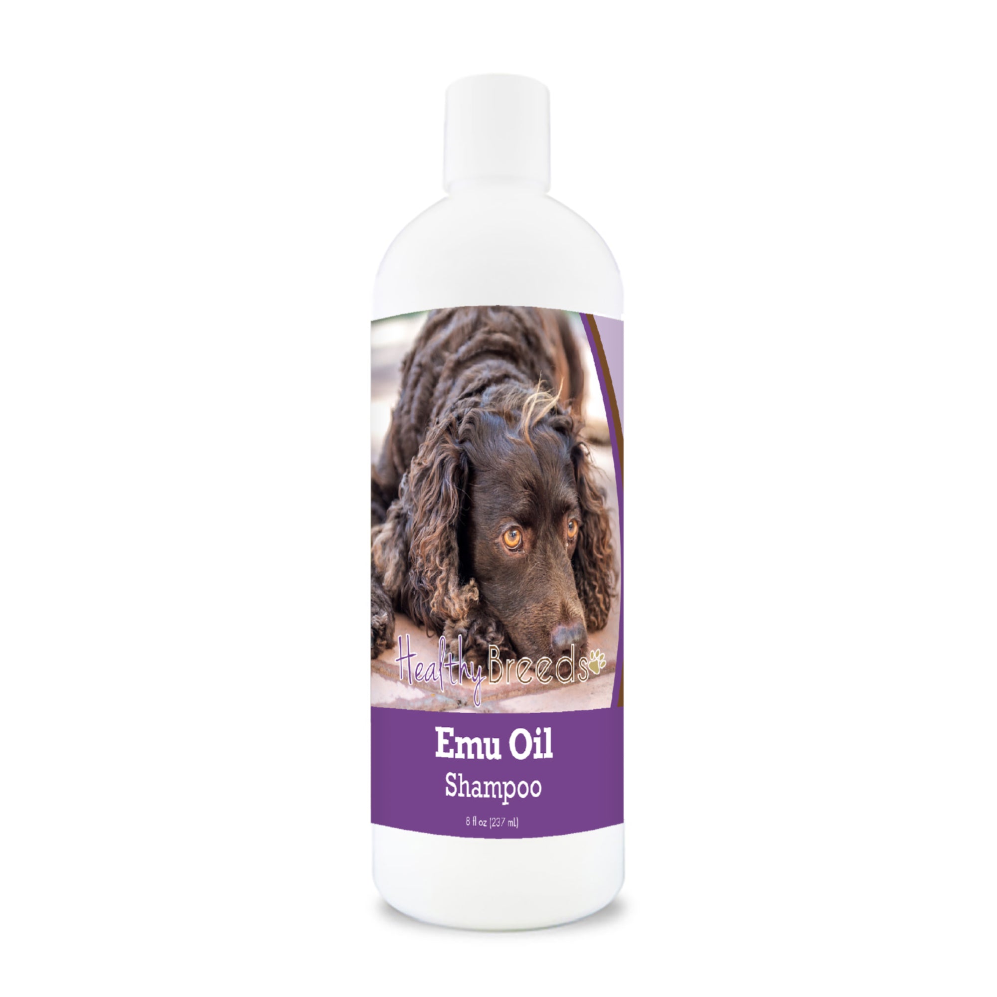 American Water Spaniel Emu Oil Shampoo 8 oz