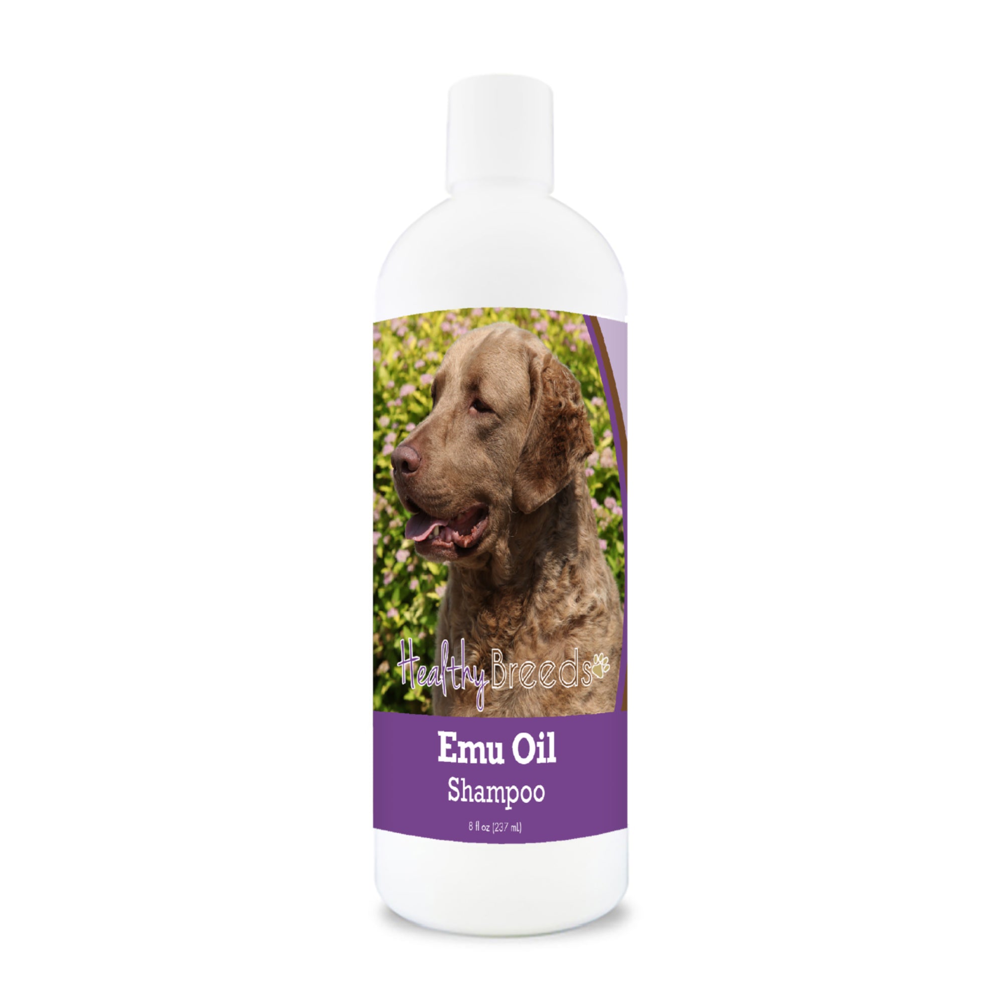 Chesapeake Bay Retriever Emu Oil Shampoo 8 oz