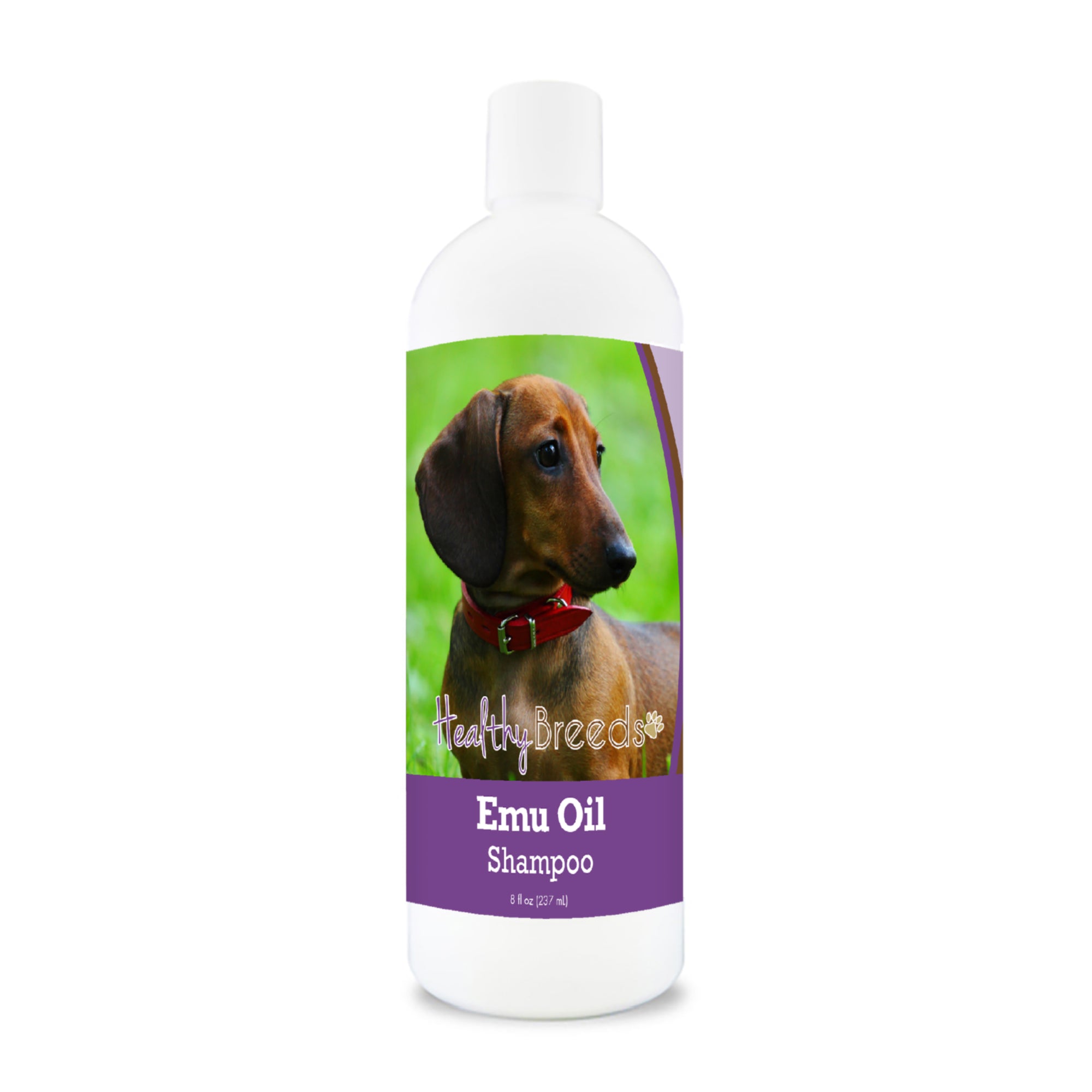 Dachshund Emu Oil Shampoo 8 oz