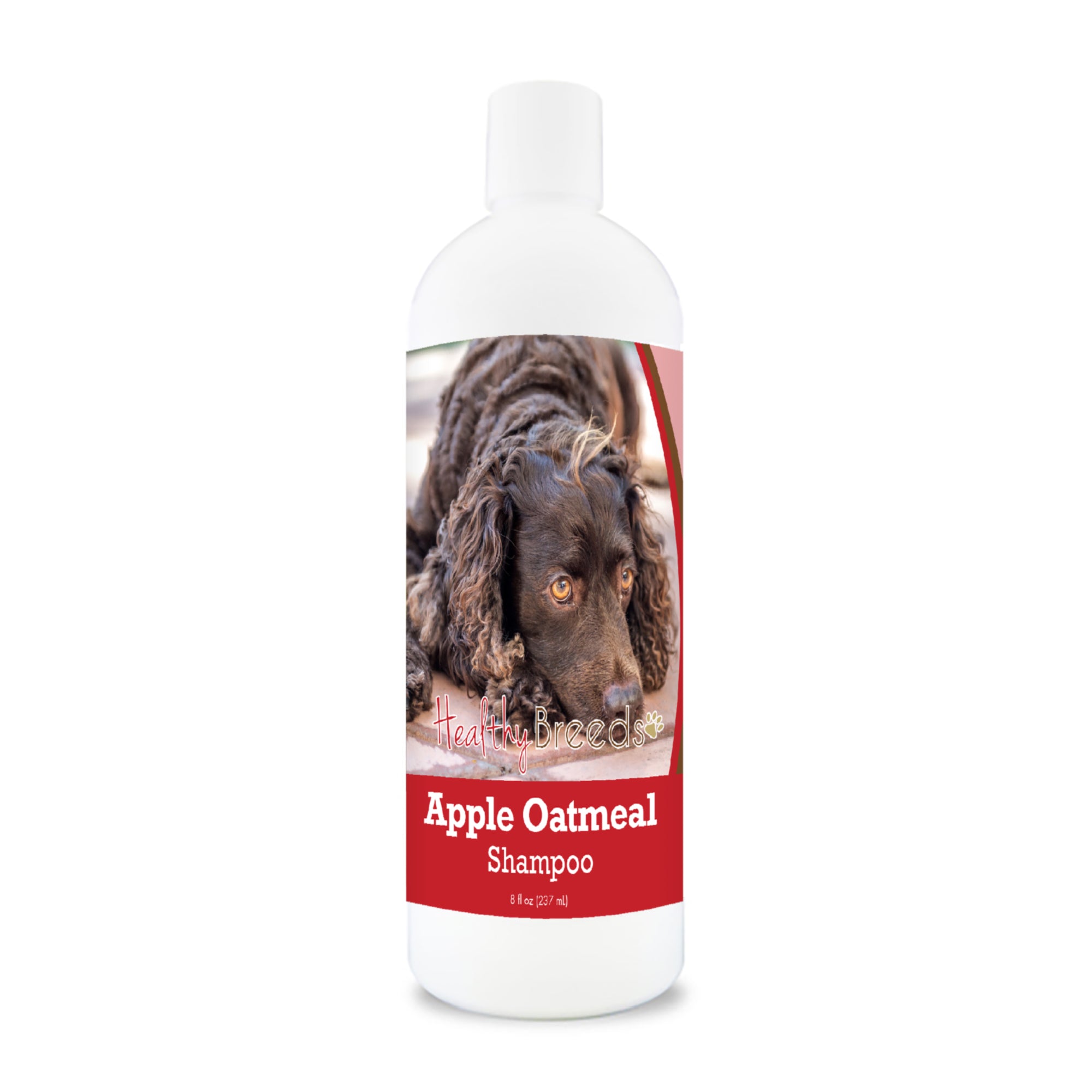 American Water Spaniel Apple Oatmeal Shampoo 8 oz