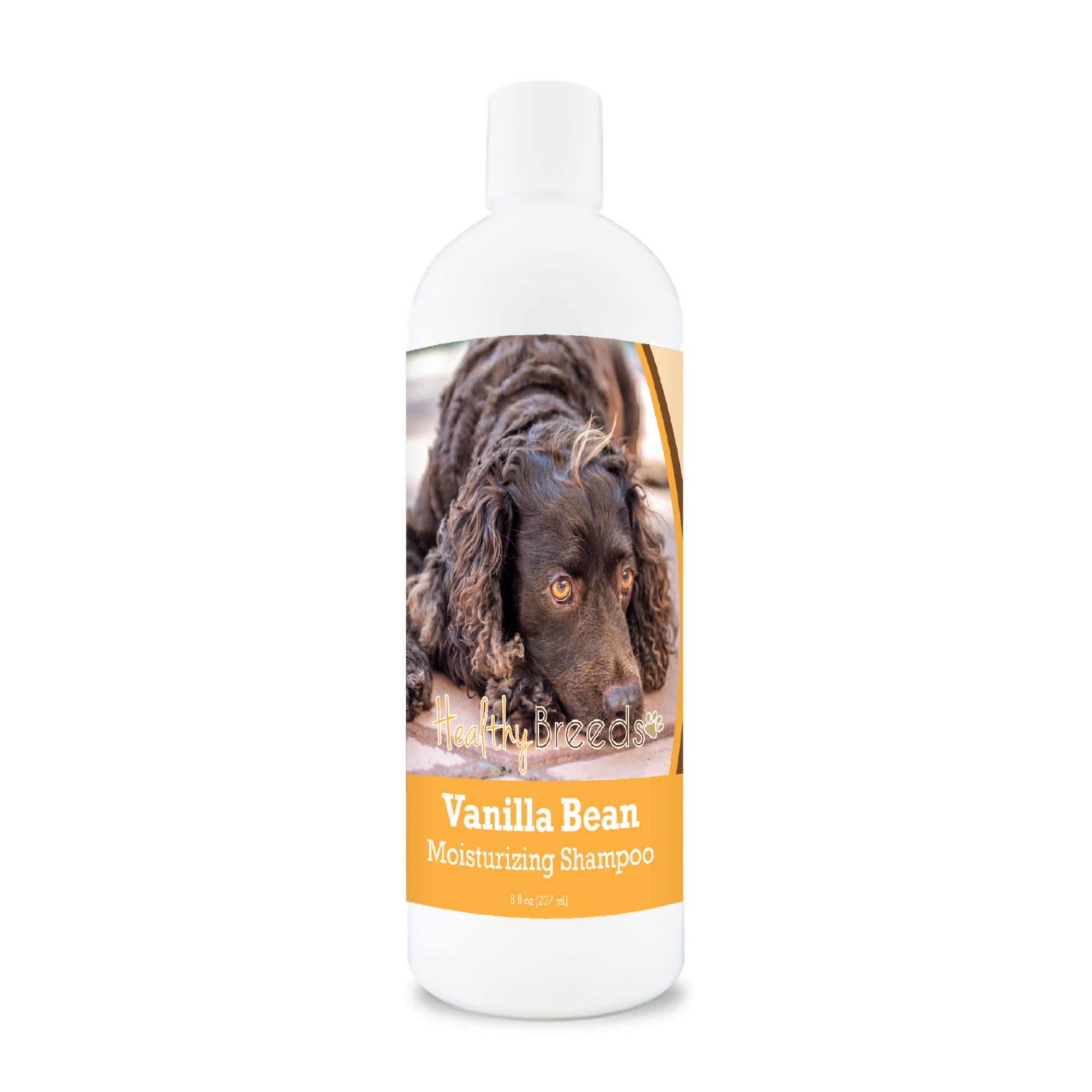 American Water Spaniel Vanilla Bean Moisturizing Shampoo 8 oz