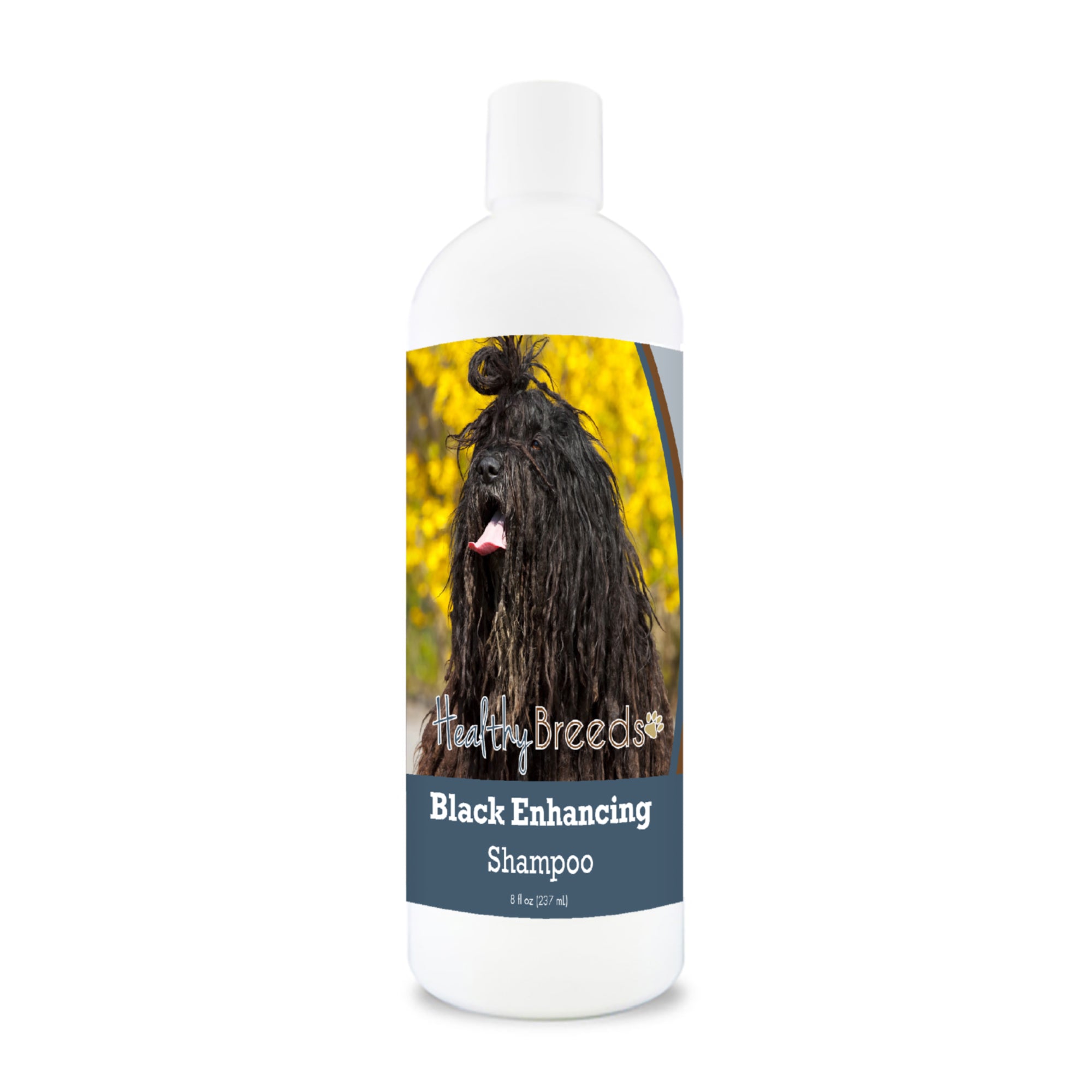Bergamasco Black Enhancing Shampoo 8 oz