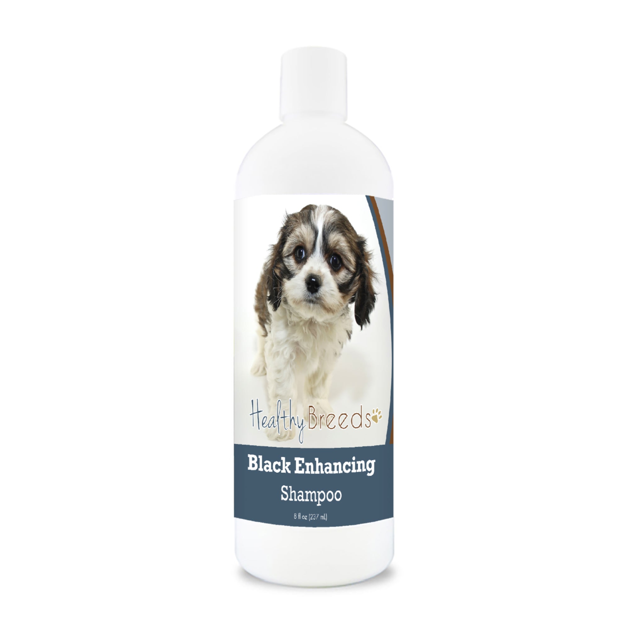 Cavachon Black Enhancing Shampoo 8 oz