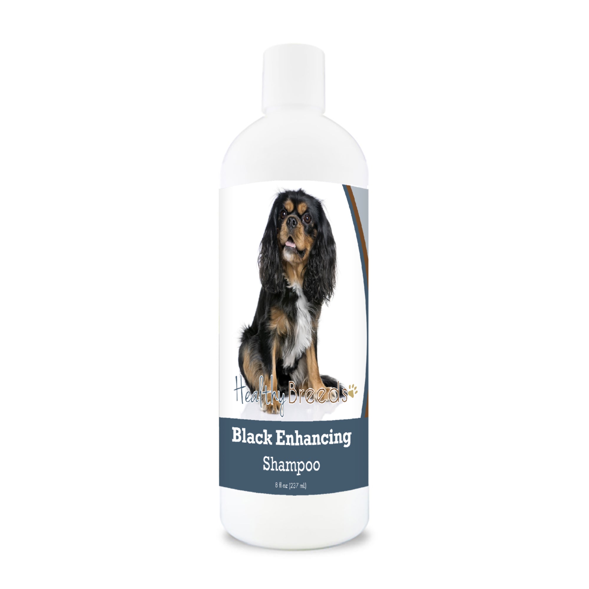 Cavalier King Charles Spaniel Black Enhancing Shampoo 8 oz