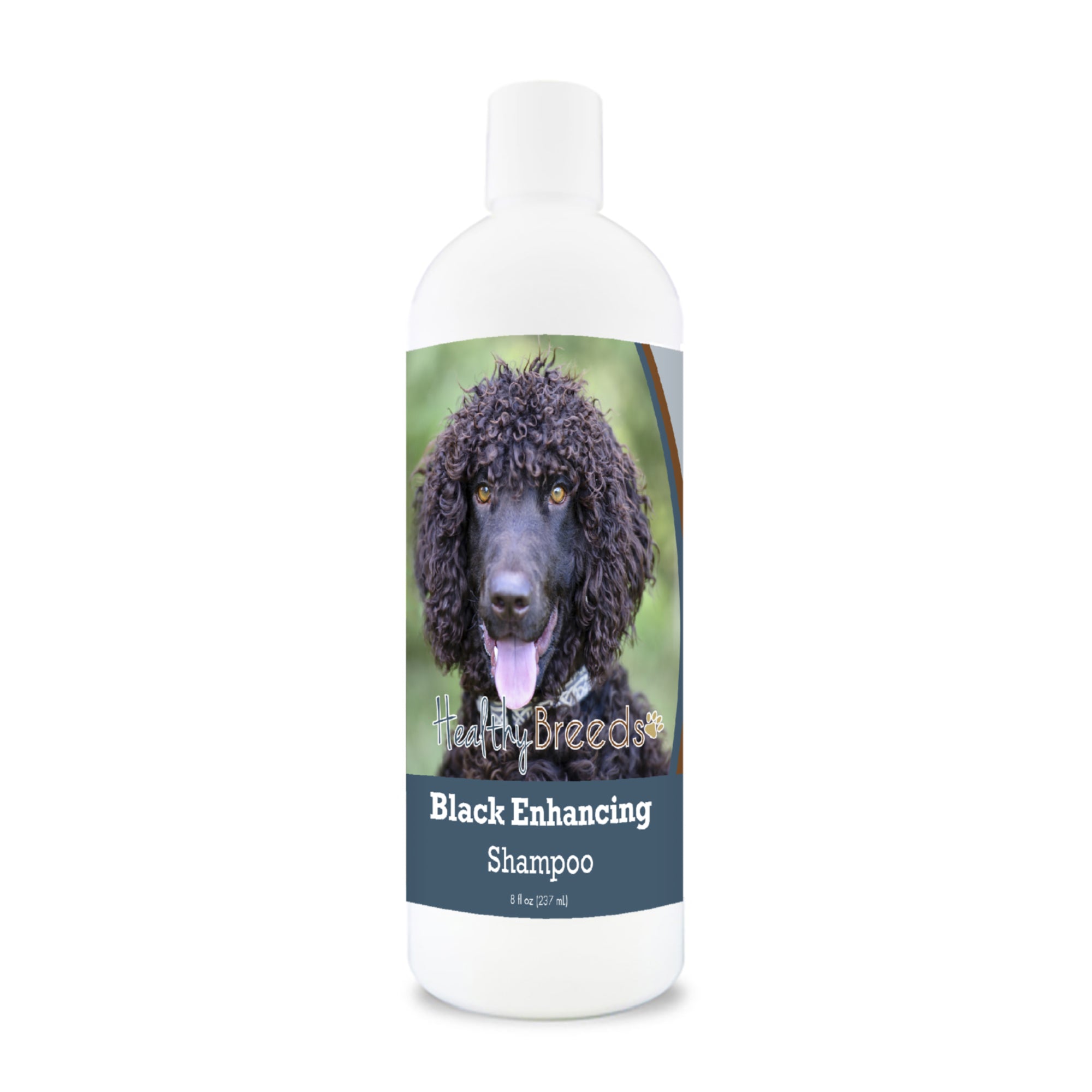 Irish Water Spaniel Black Enhancing Shampoo 8 oz