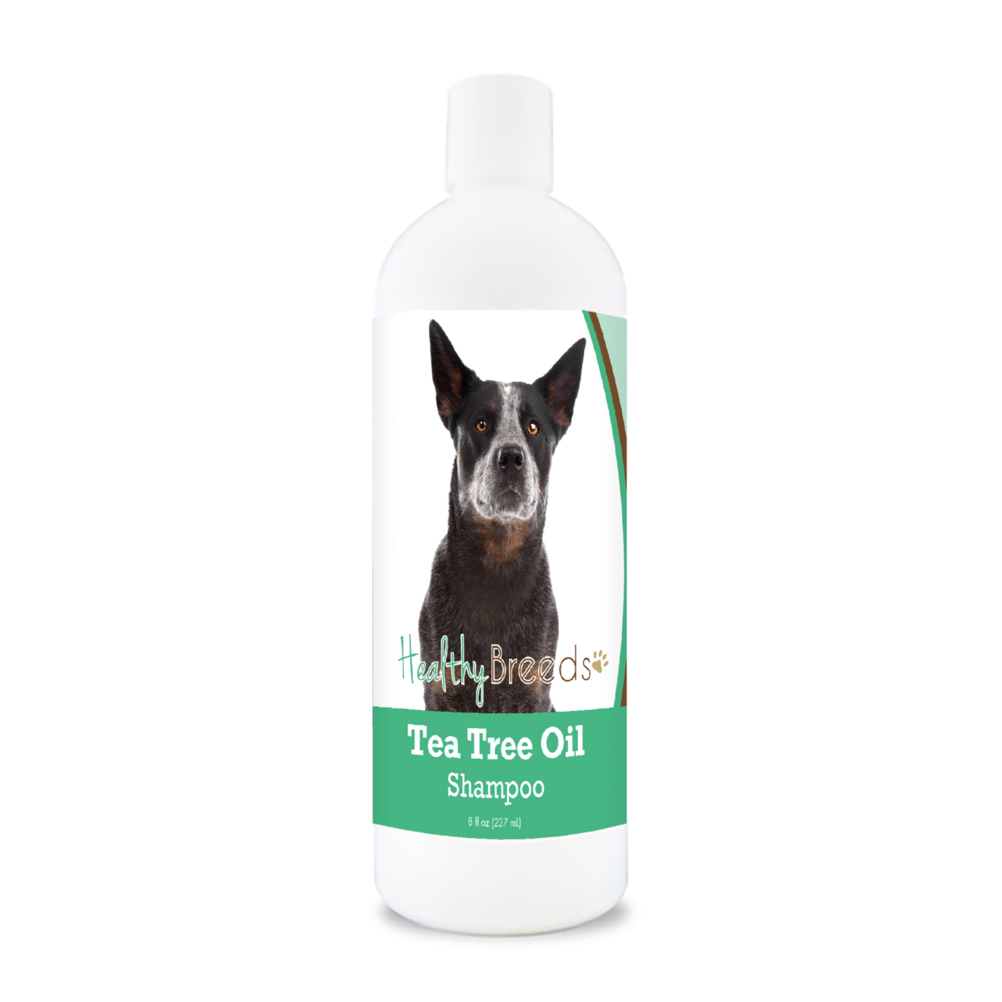 Australian Cattle Dog Tea Tree Oil Shampoo 8 oz