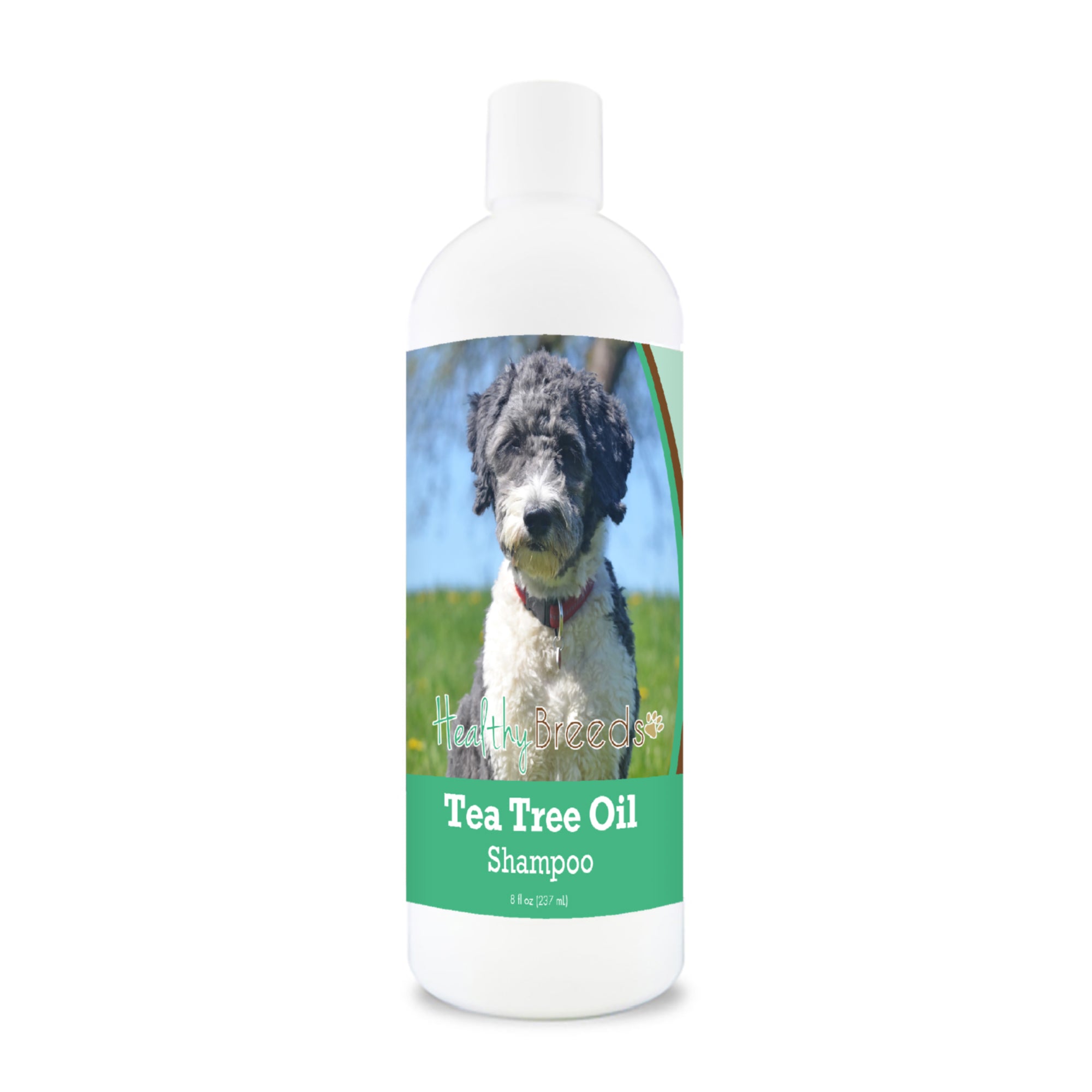 Aussiedoodle Tea Tree Oil Shampoo 8 oz