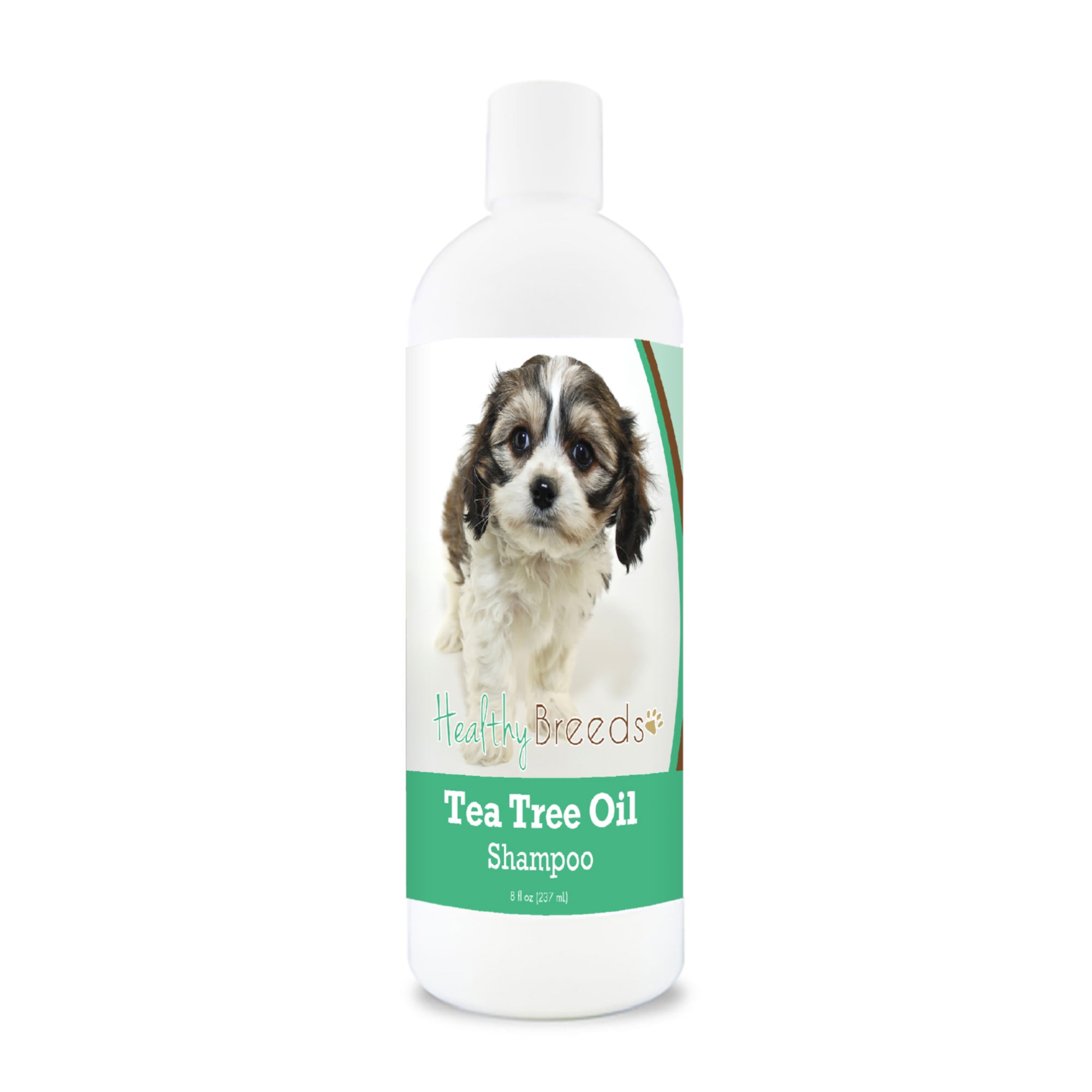 Cavachon Tea Tree Oil Shampoo 8 oz