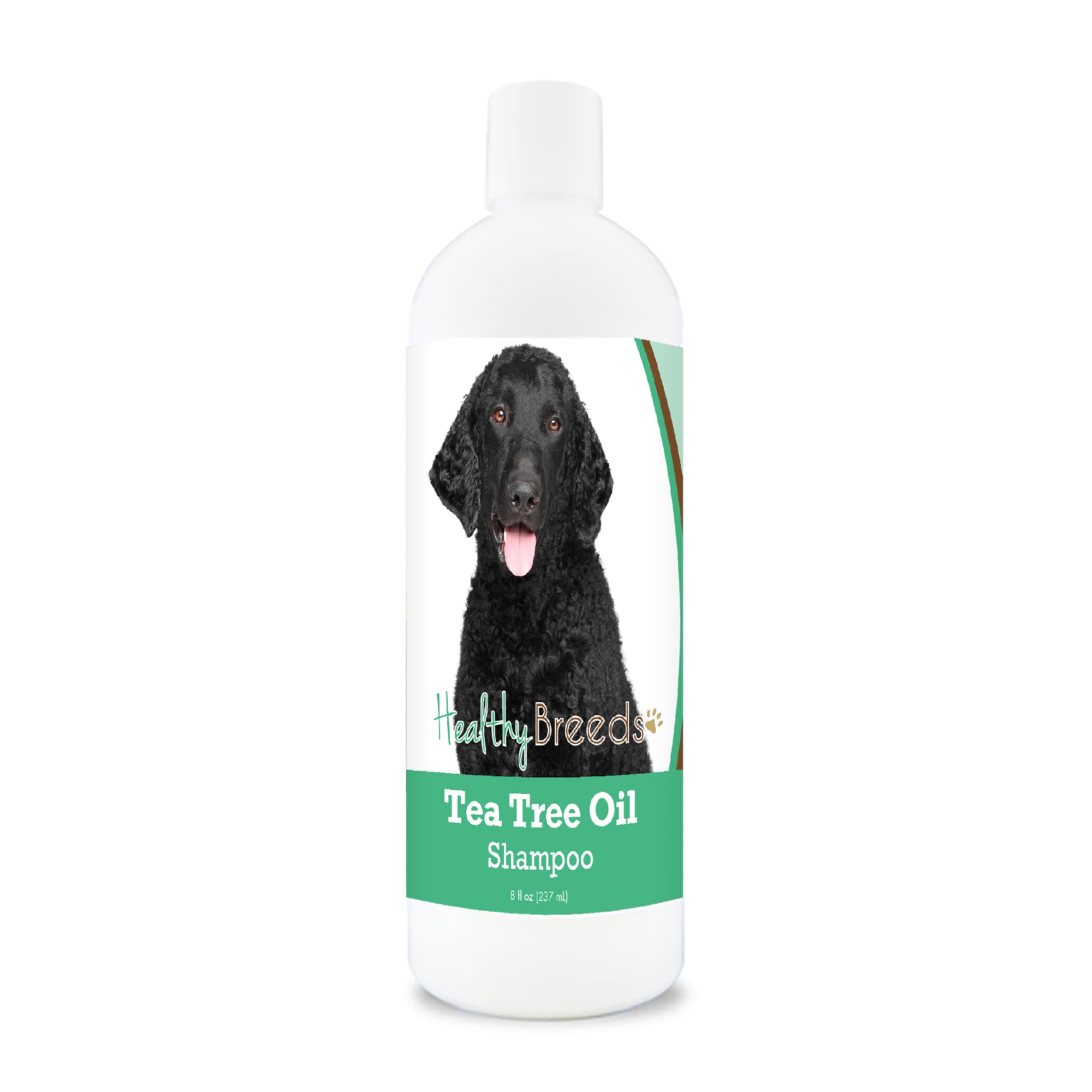 Curly-Coated Retriever Tea Tree Oil Shampoo 8 oz