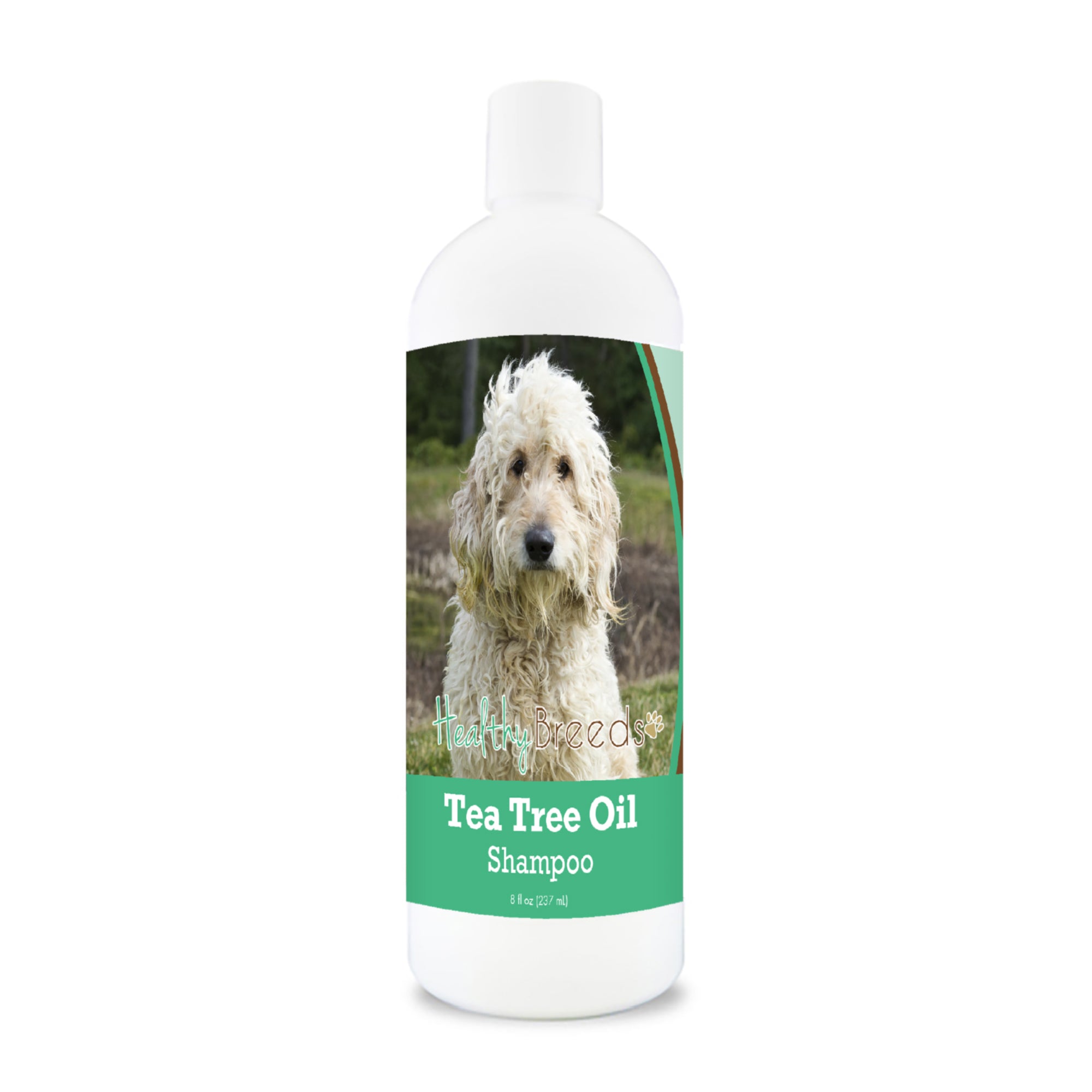 Goldendoodle Tea Tree Oil Shampoo 8 oz