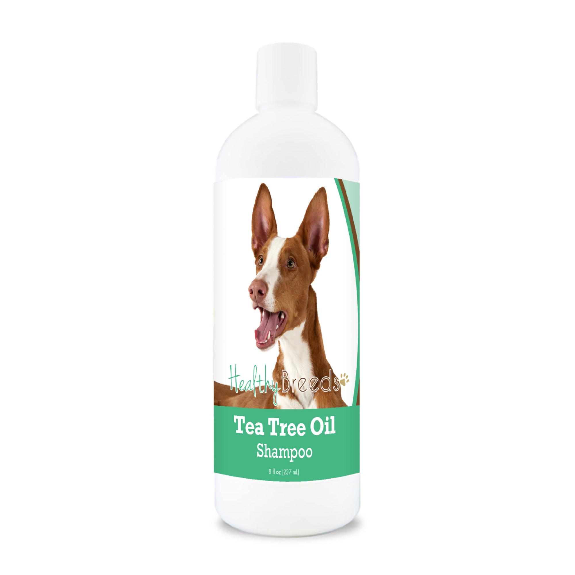 Ibizan Hound Tea Tree Oil Shampoo 8 oz