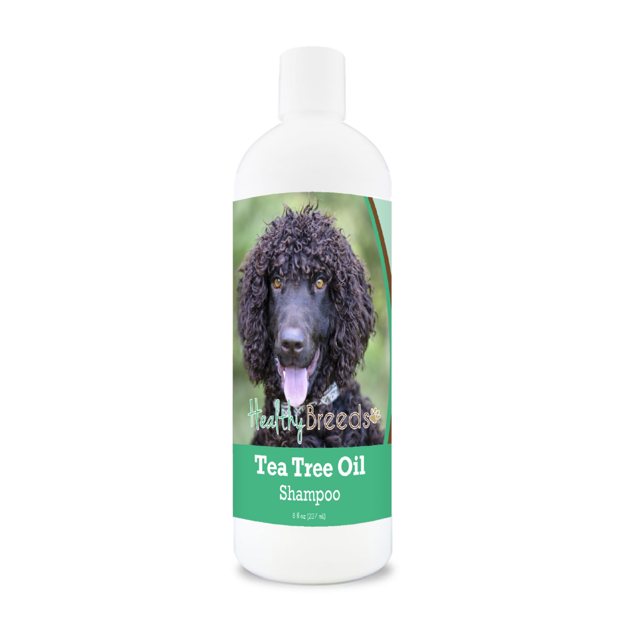Irish Water Spaniel Tea Tree Oil Shampoo 8 oz