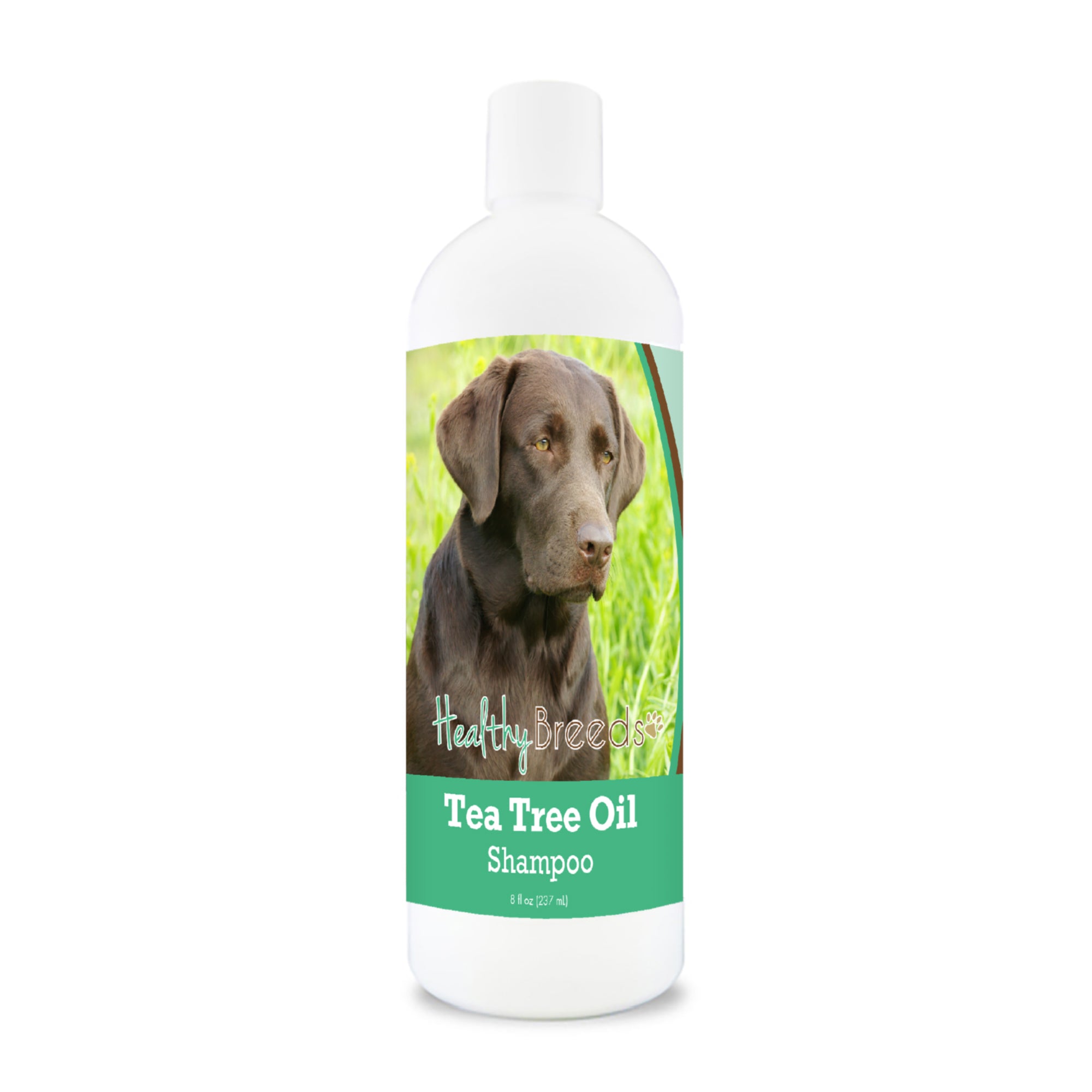 Labrador Retriever Tea Tree Oil Shampoo 8 oz