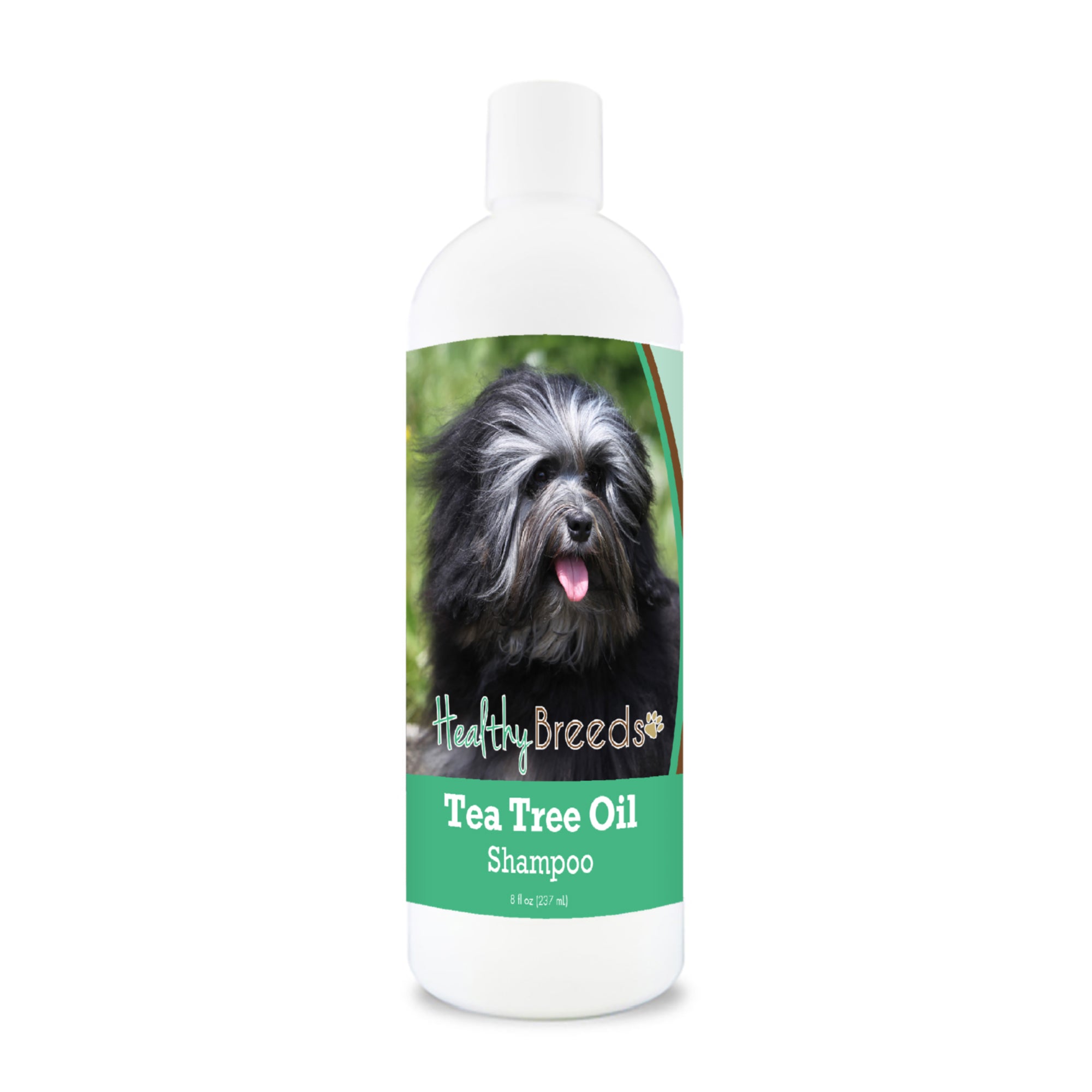 Lowchen Tea Tree Oil Shampoo 8 oz