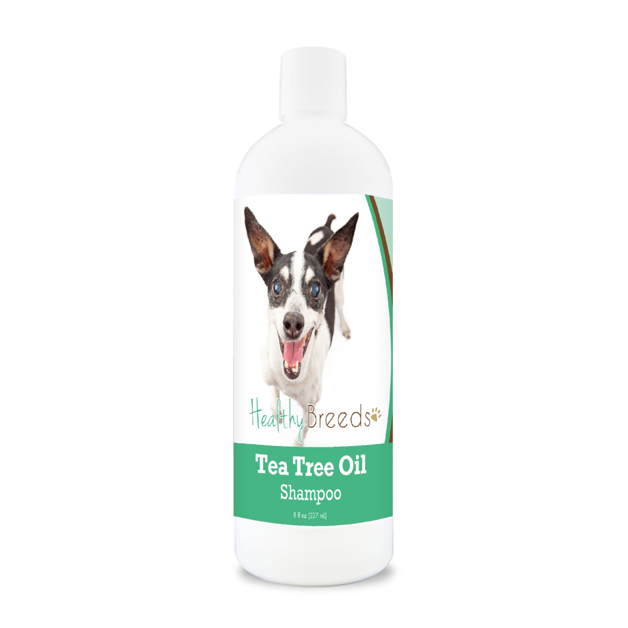 Rat Terrier Tea Tree Oil Shampoo 8 oz