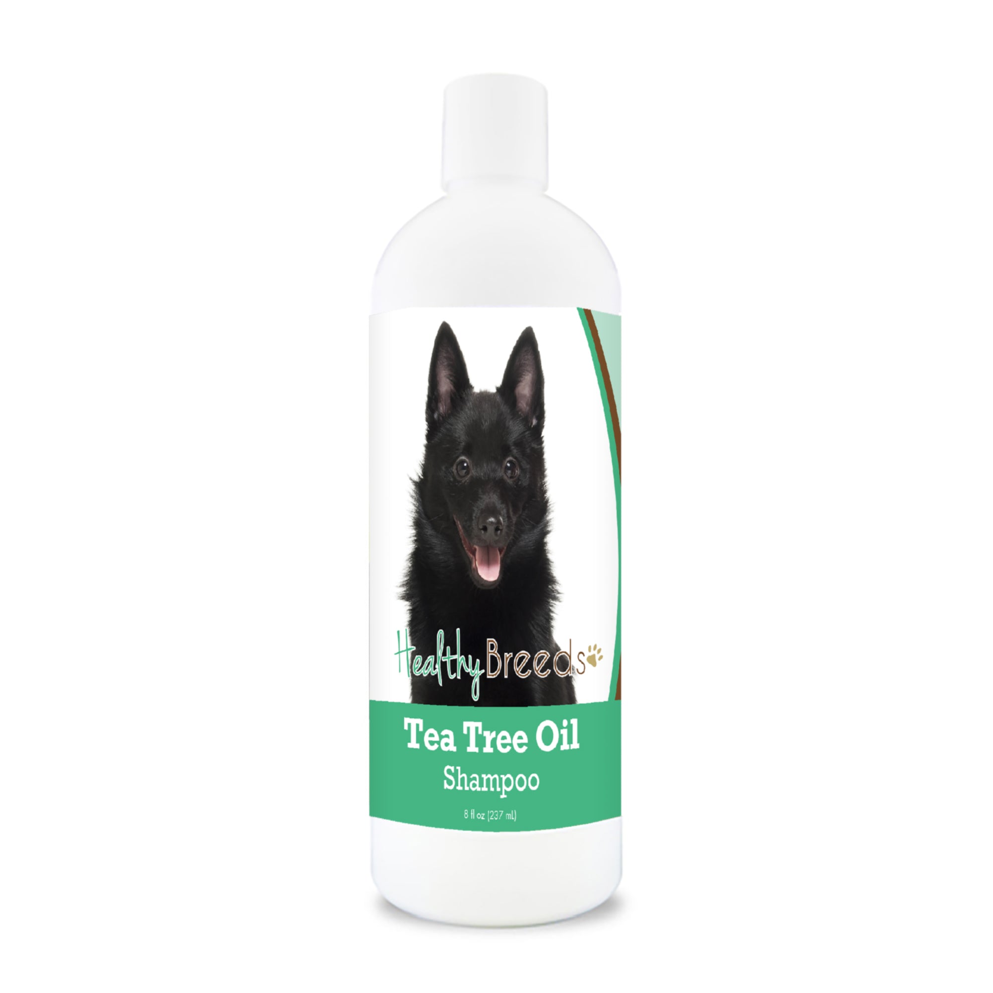 Schipperke Tea Tree Oil Shampoo 8 oz