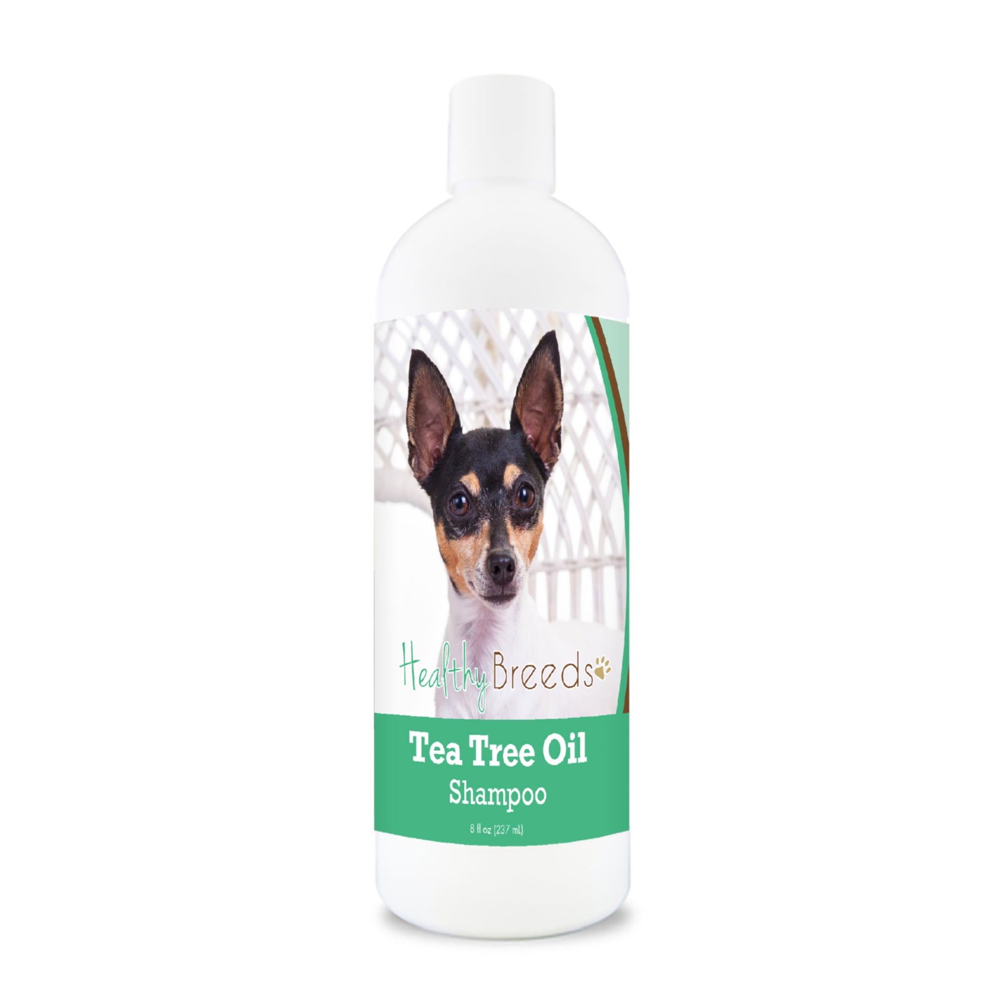 Toy Fox Terrier Tea Tree Oil Shampoo 8 oz