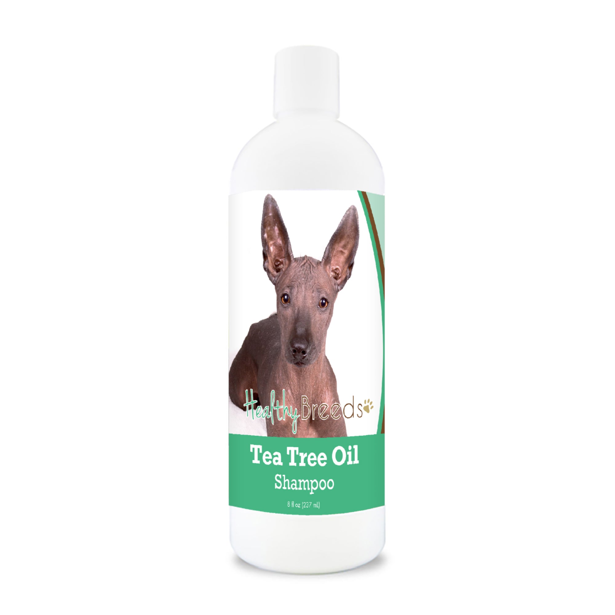 Xoloitzcuintli Tea Tree Oil Shampoo 8 oz