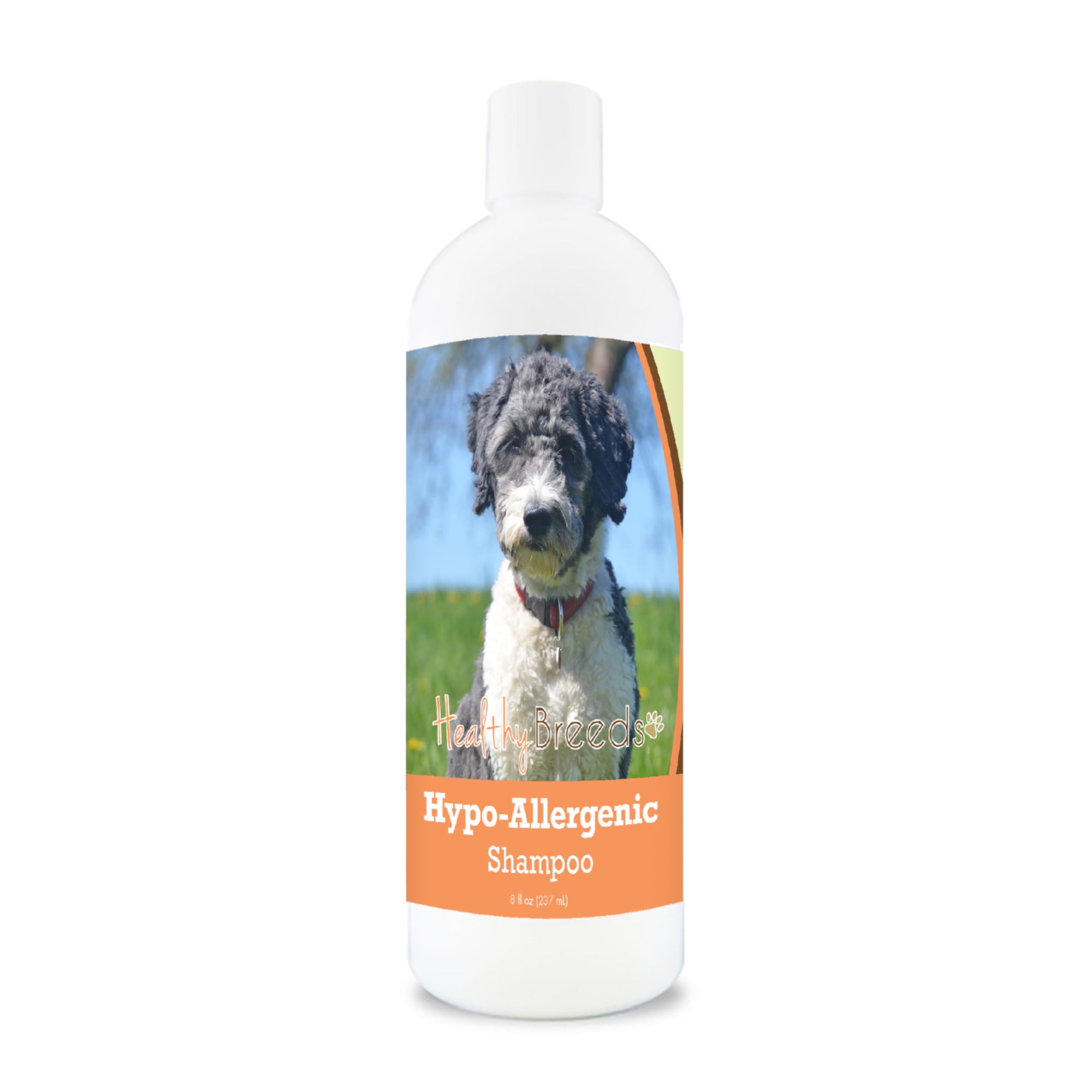 Aussiedoodle Hypo-Allergenic Shampoo 8 oz