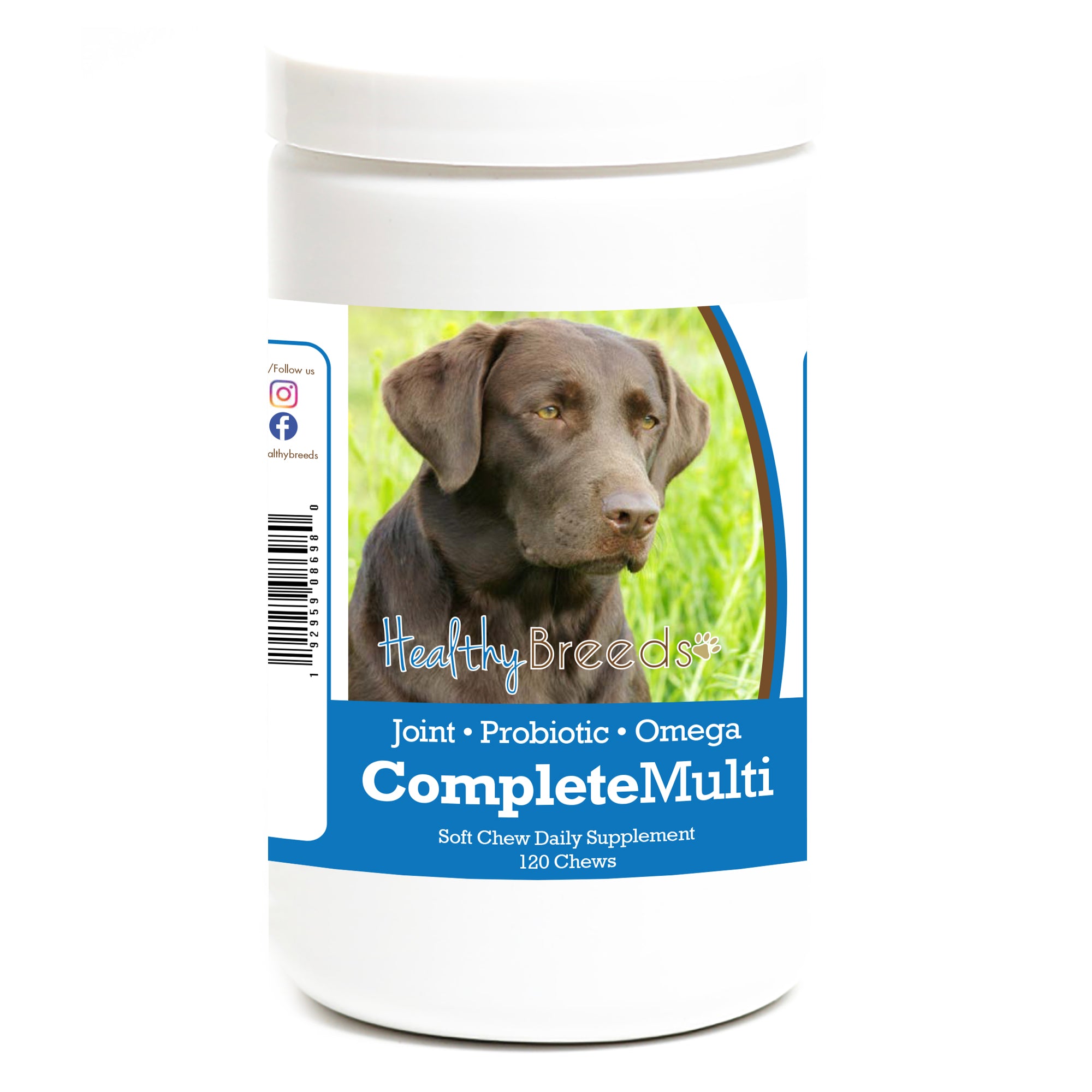 Labrador Retriever All In One Multivitamin Soft Chew 120 Count