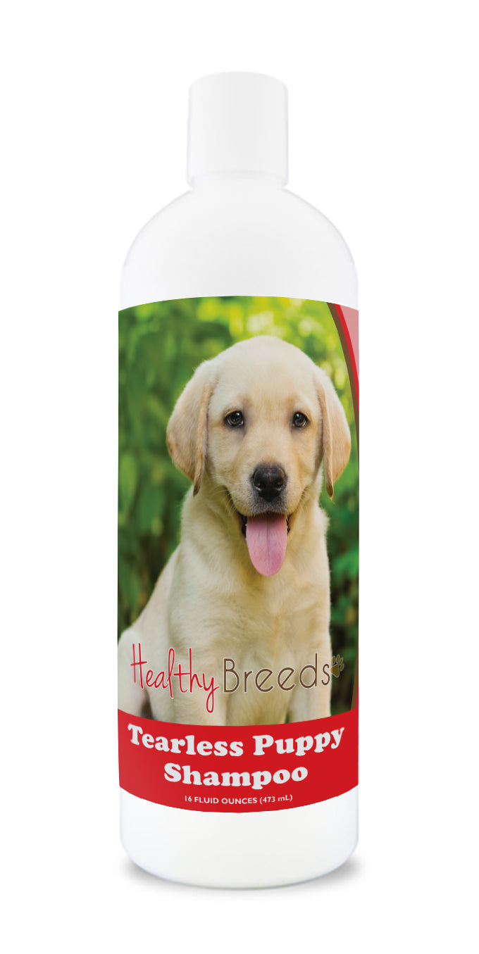 Labrador Retriever Tearless Puppy Dog Shampoo 16 oz