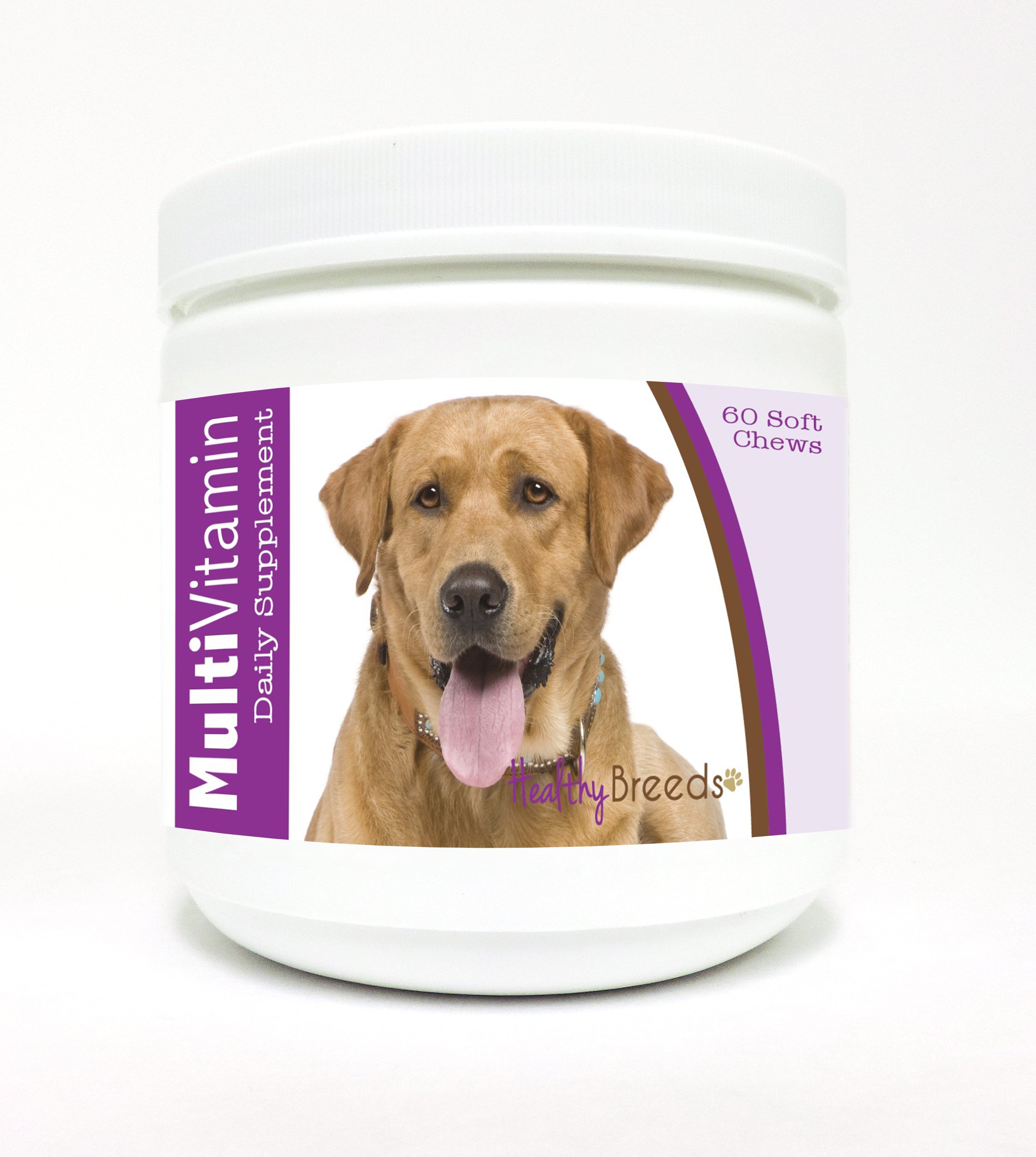 Labrador Retriever Multi-Vitamin Soft Chews 60 Count