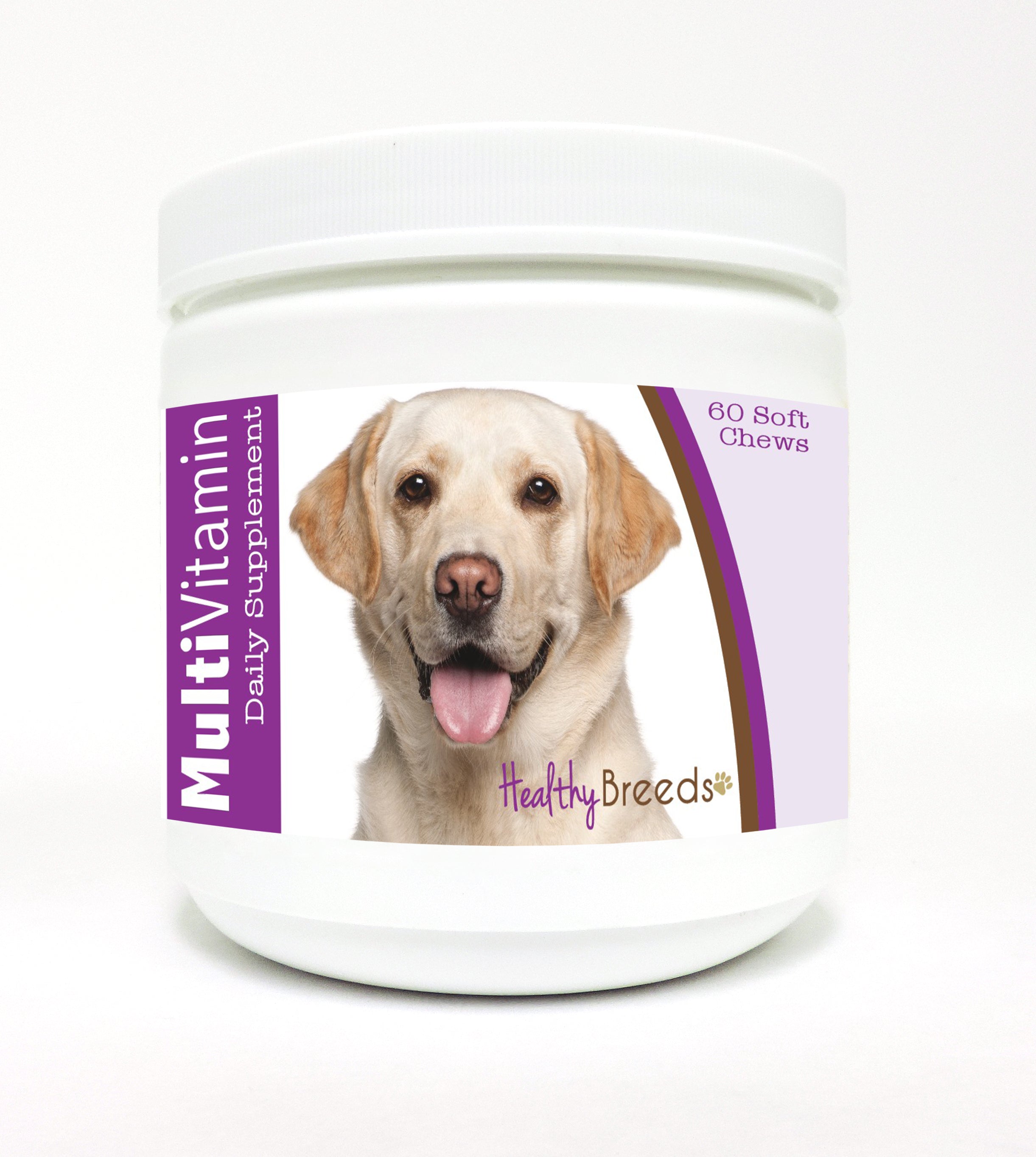 Labrador Retriever Multi-Vitamin Soft Chews 60 Count
