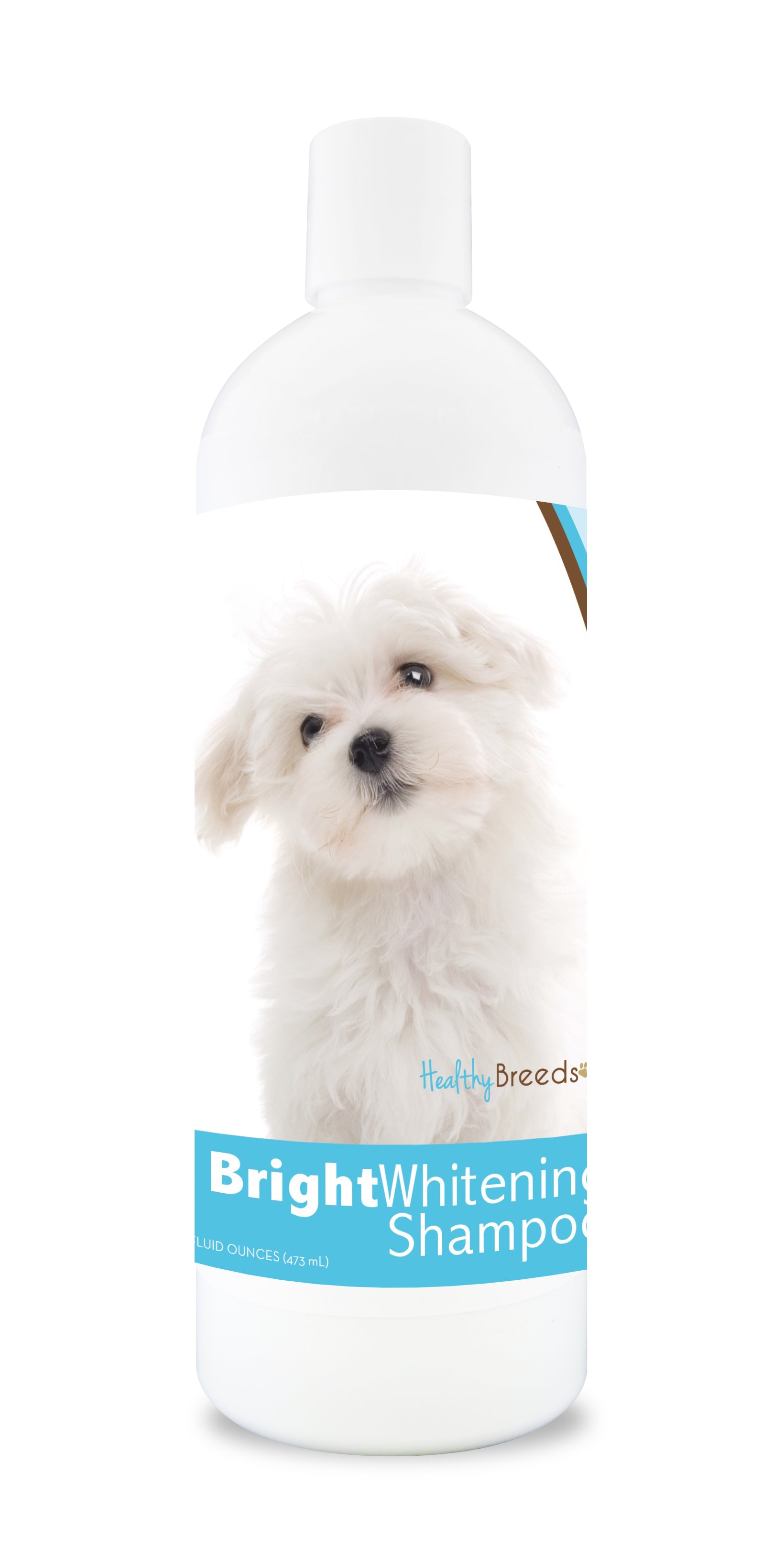 Maltese Bright Whitening Shampoo 12 oz Healthy Breeds
