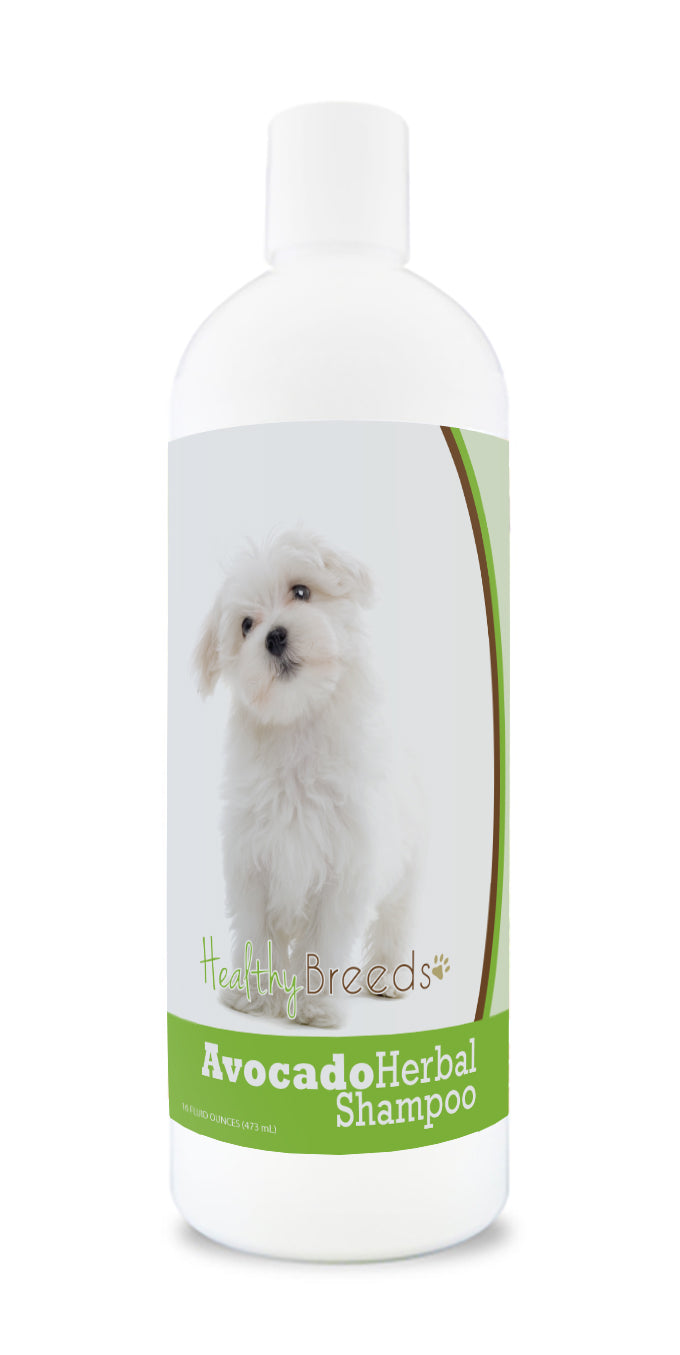 Maltese Avocado Herbal Dog Shampoo 16 oz
