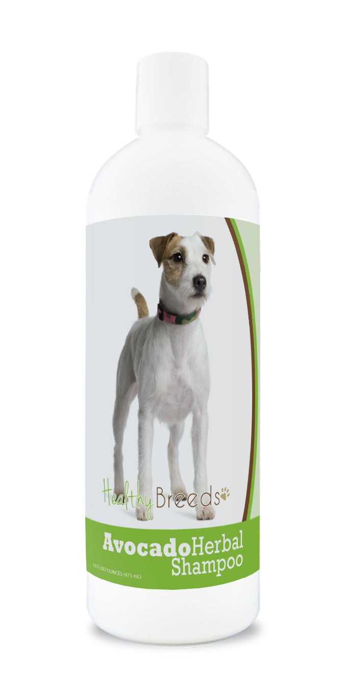 Parson Russell Terrier Avocado Herbal Dog Shampoo 16 oz