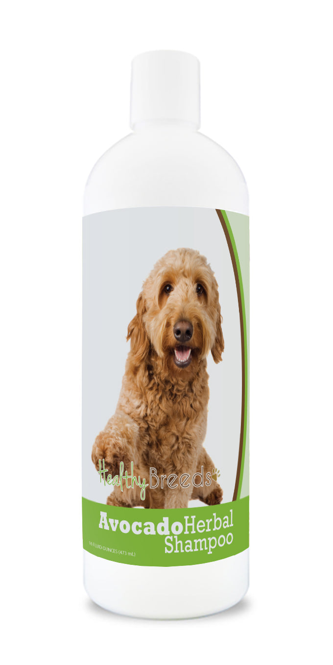 Goldendoodle Avocado Herbal Dog Shampoo 16 oz