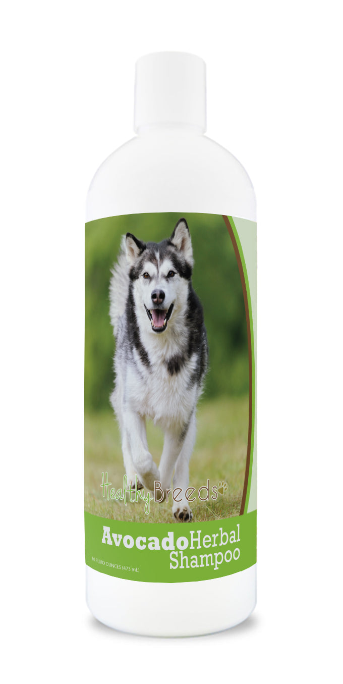 Alaskan Malamute Avocado Herbal Dog Shampoo 16 oz