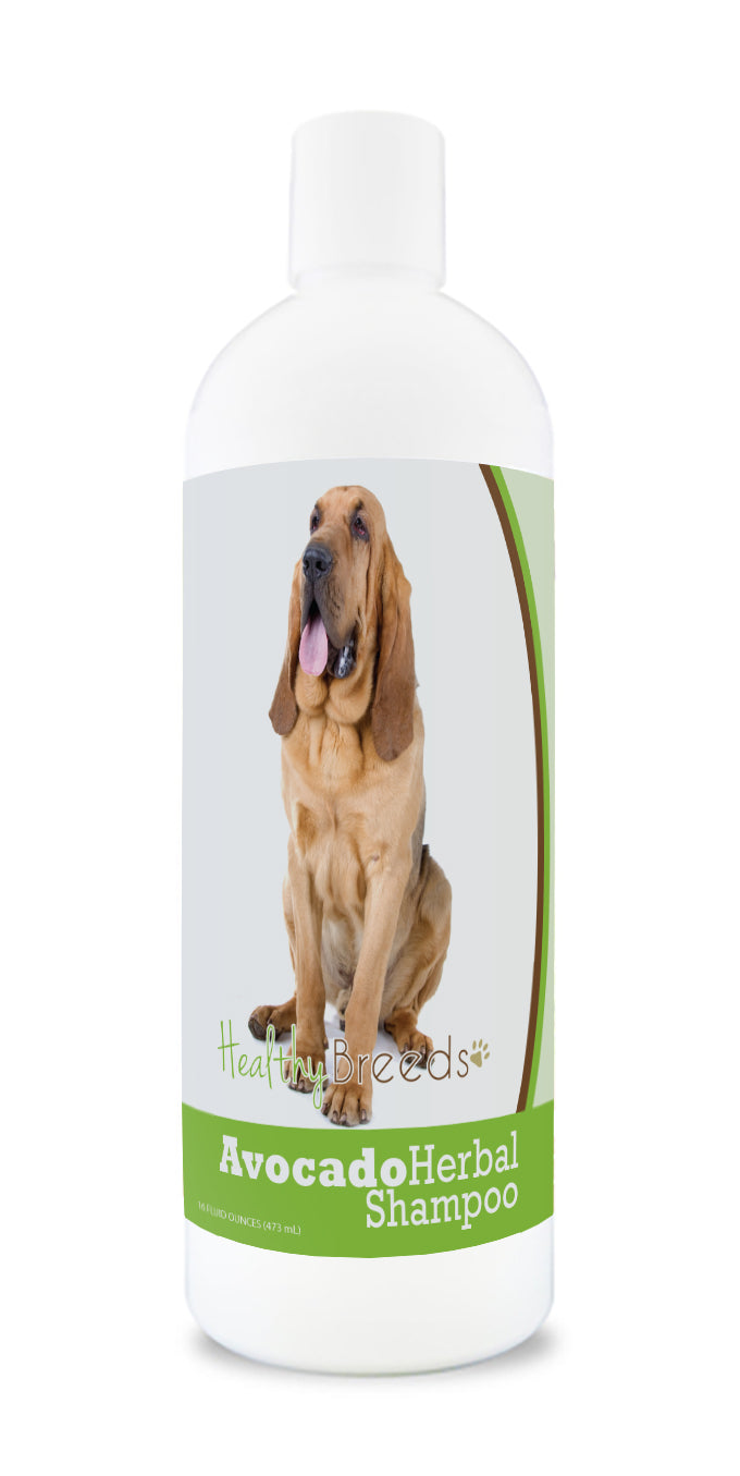 Bloodhound Avocado Herbal Dog Shampoo 16 oz